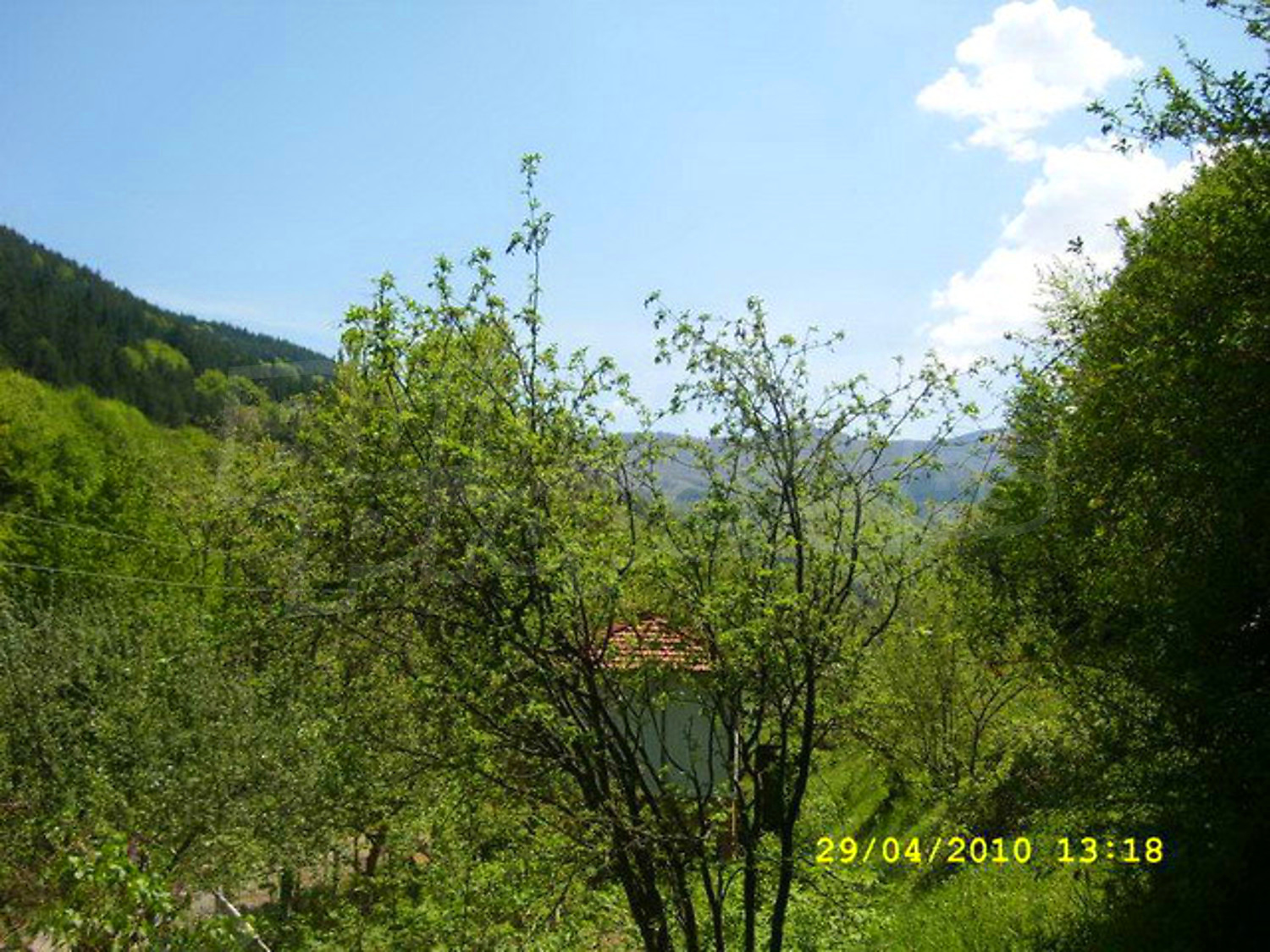 Gallery Picture 35