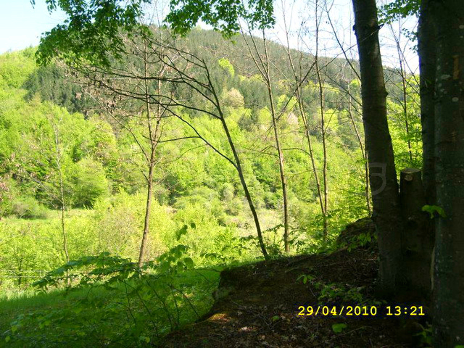 Gallery Picture 37