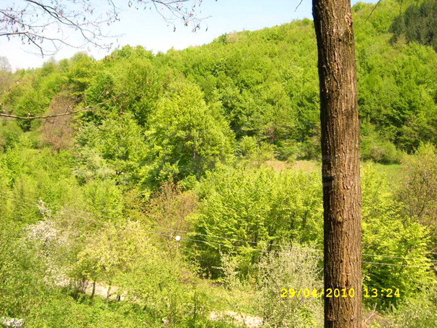 Gallery Picture 46