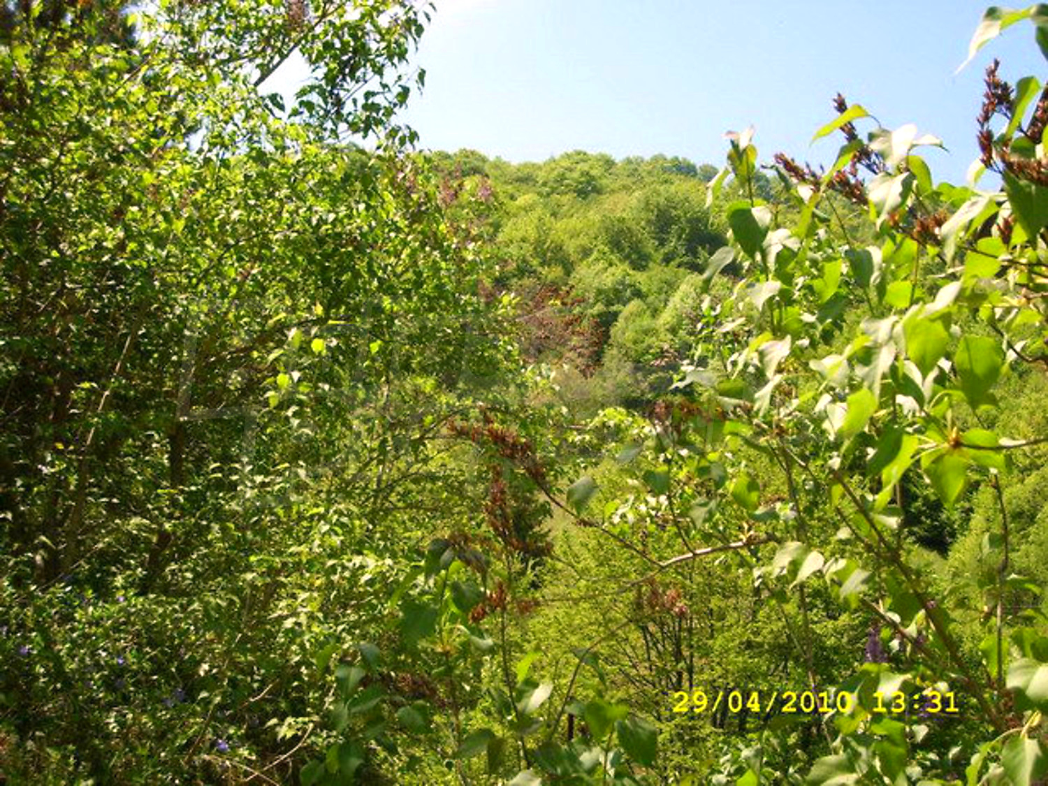Gallery Picture 6