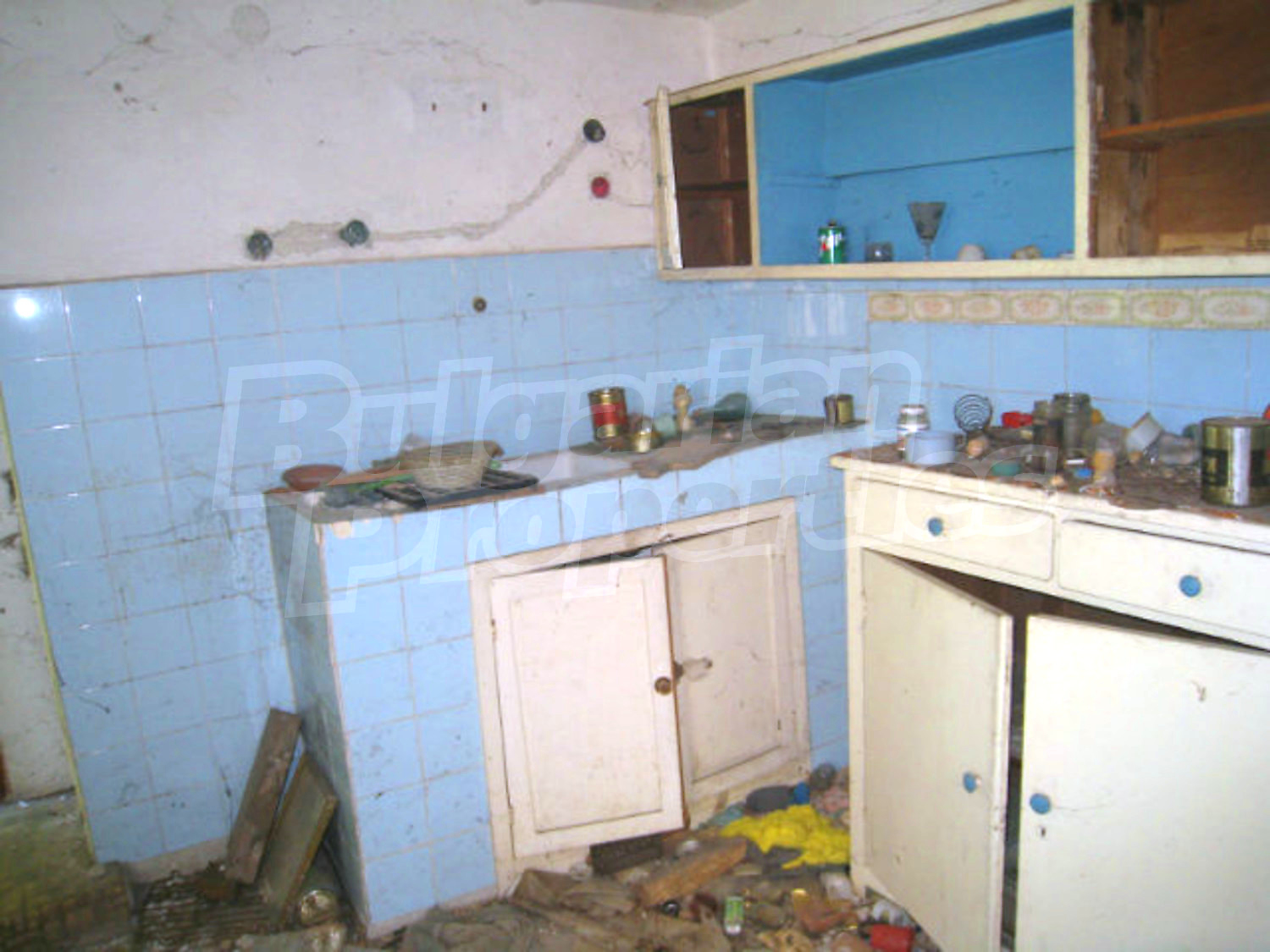 Gallery Picture 12