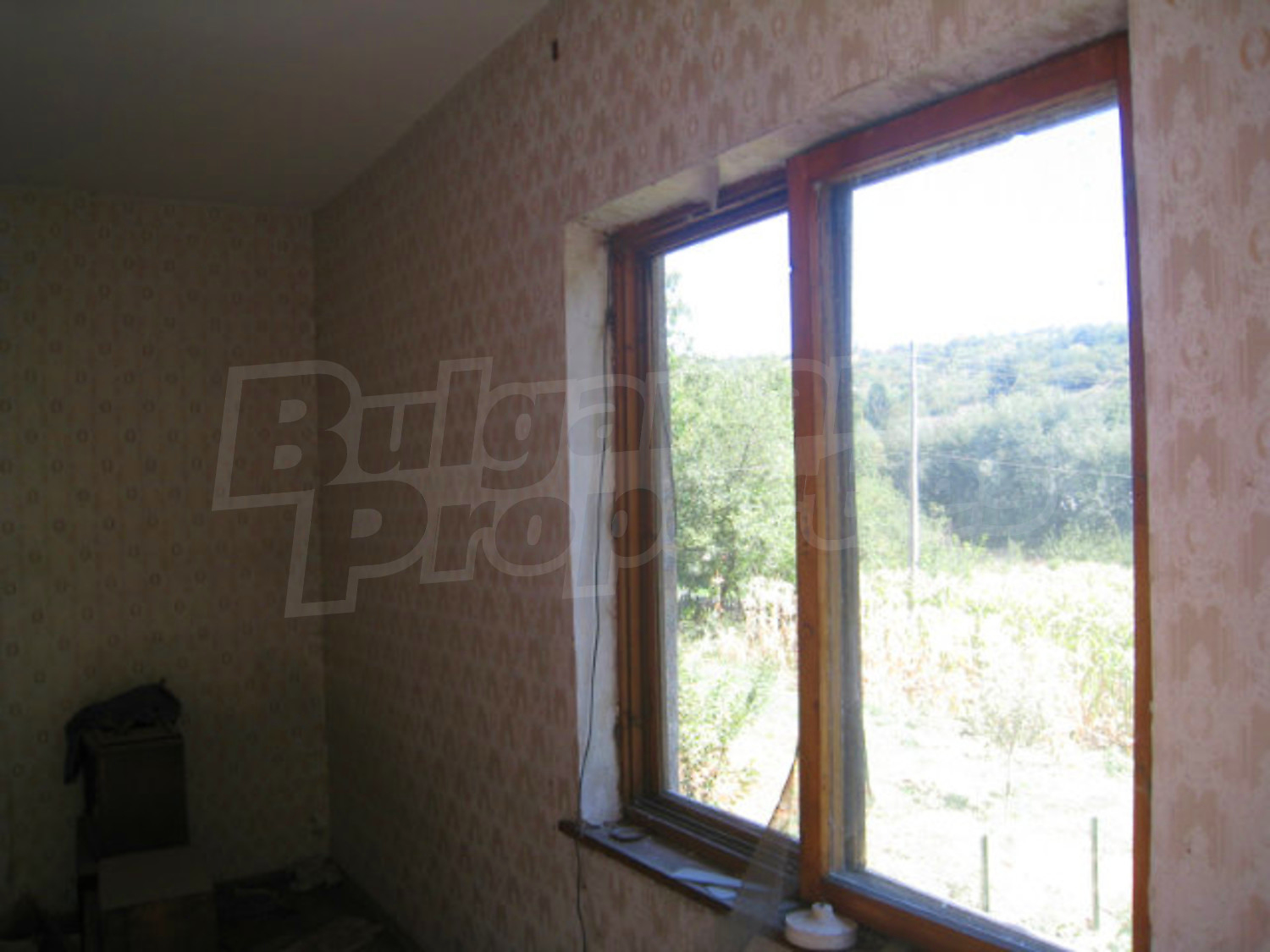 Gallery Picture 15