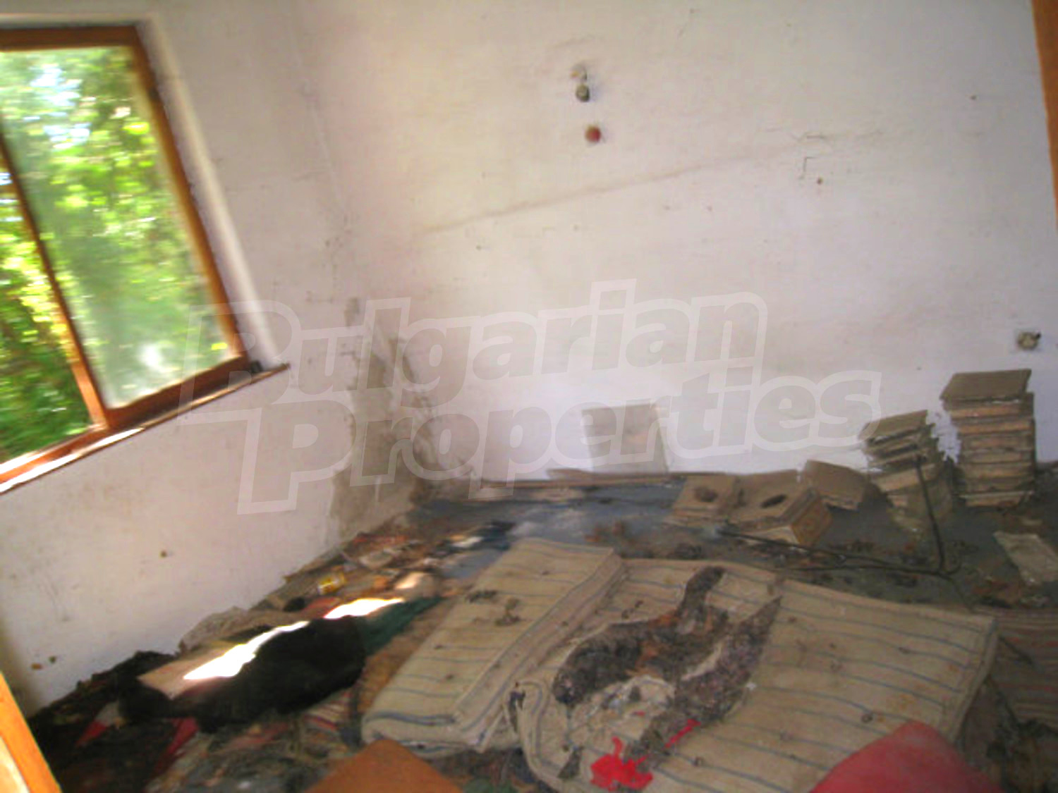 Gallery Picture 16