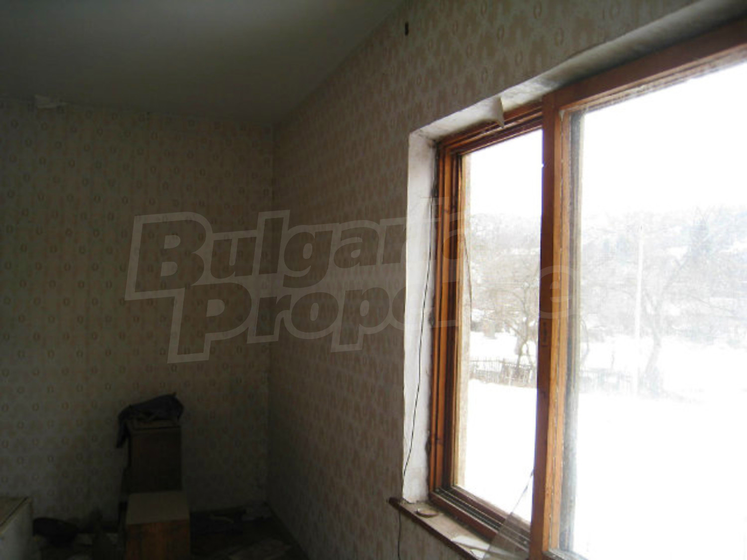 Gallery Picture 21