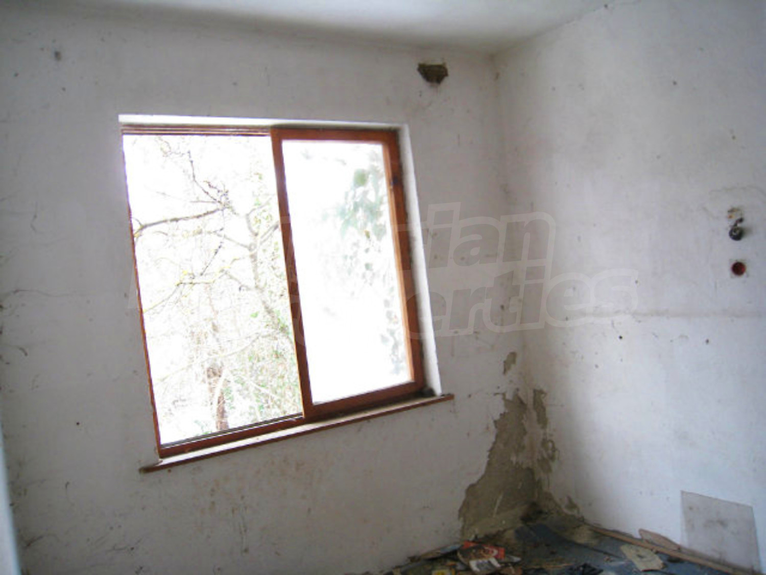 Gallery Picture 23