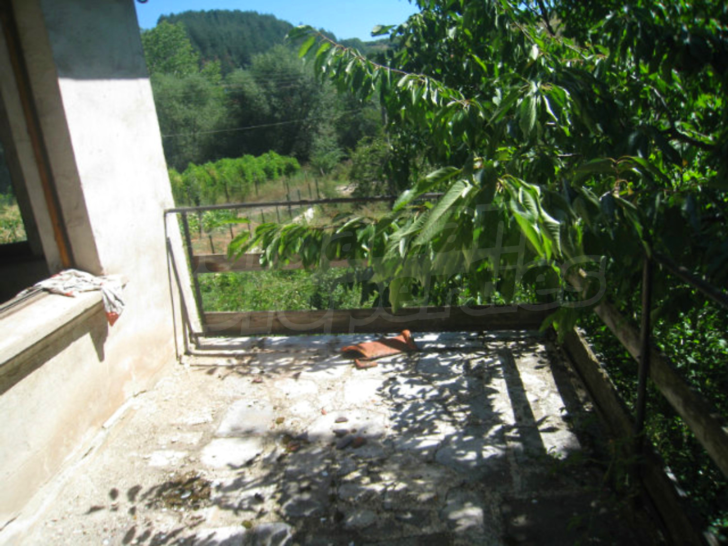 Gallery Picture 29