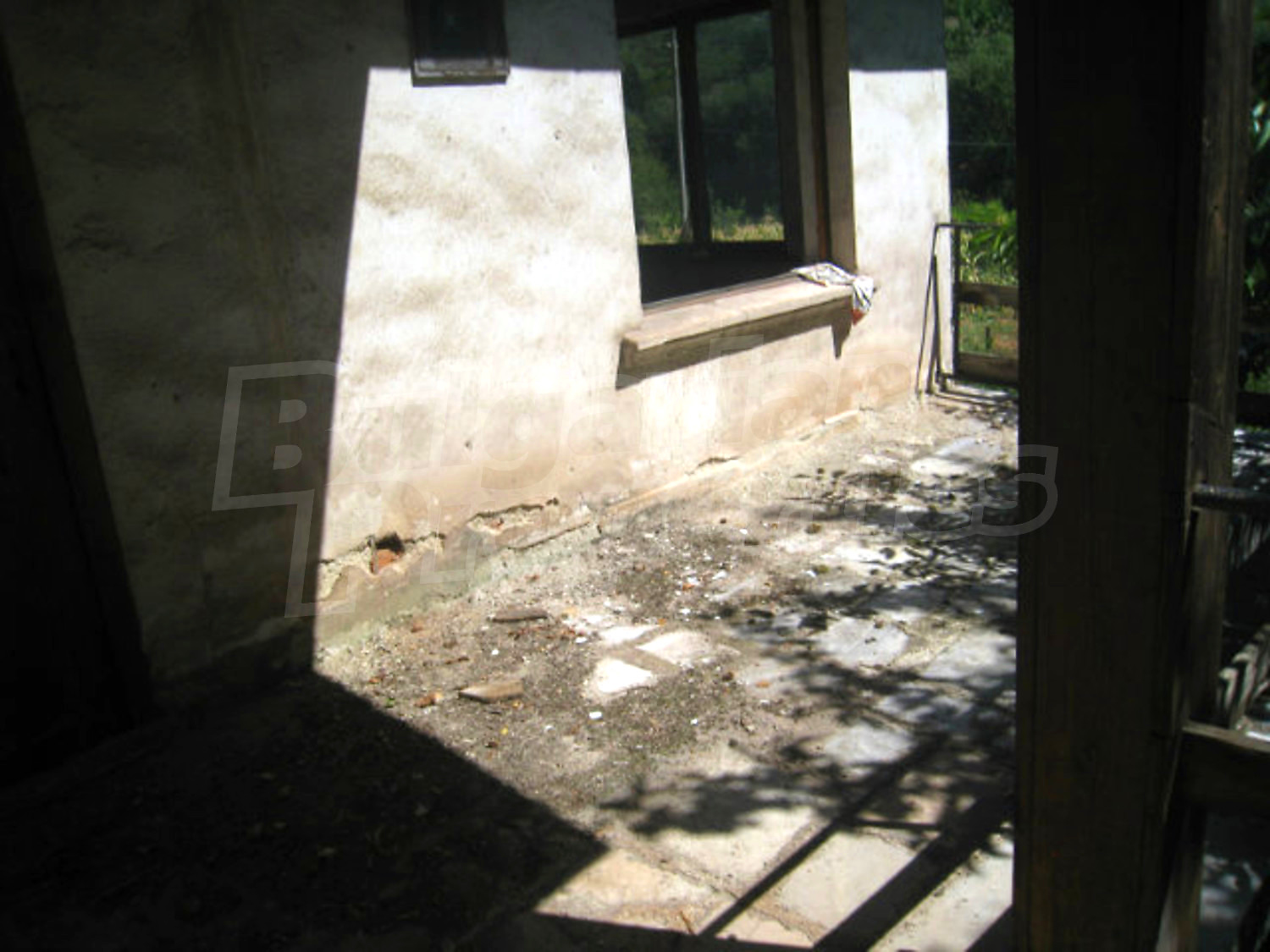 Gallery Picture 31