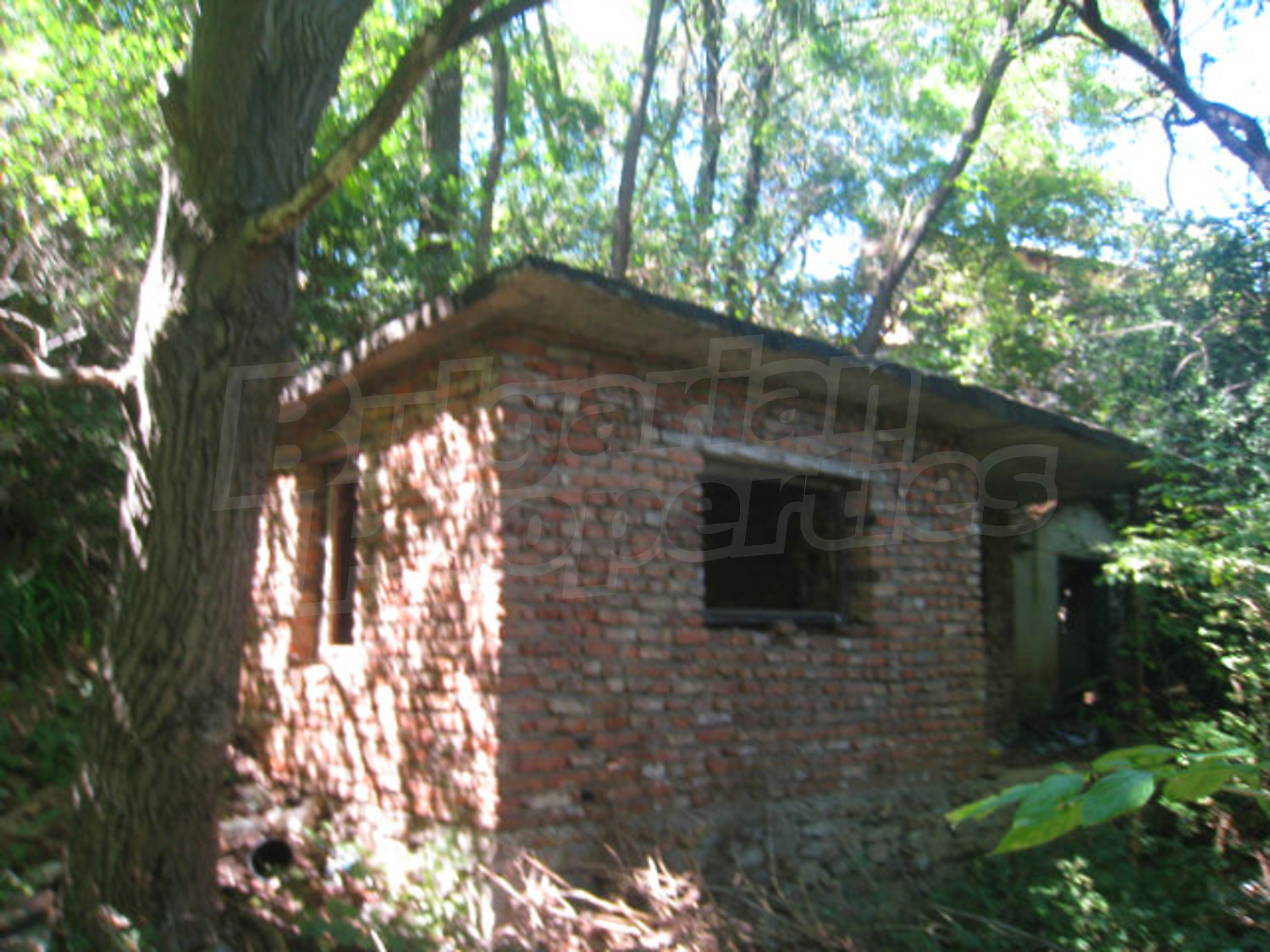 Gallery Picture 36