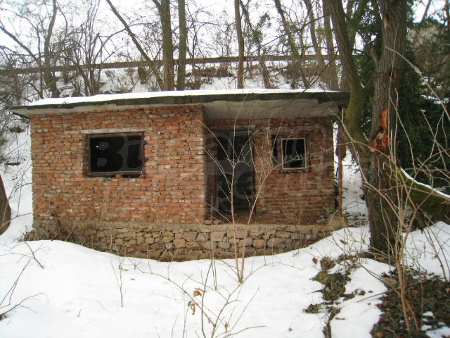 Gallery Picture 37