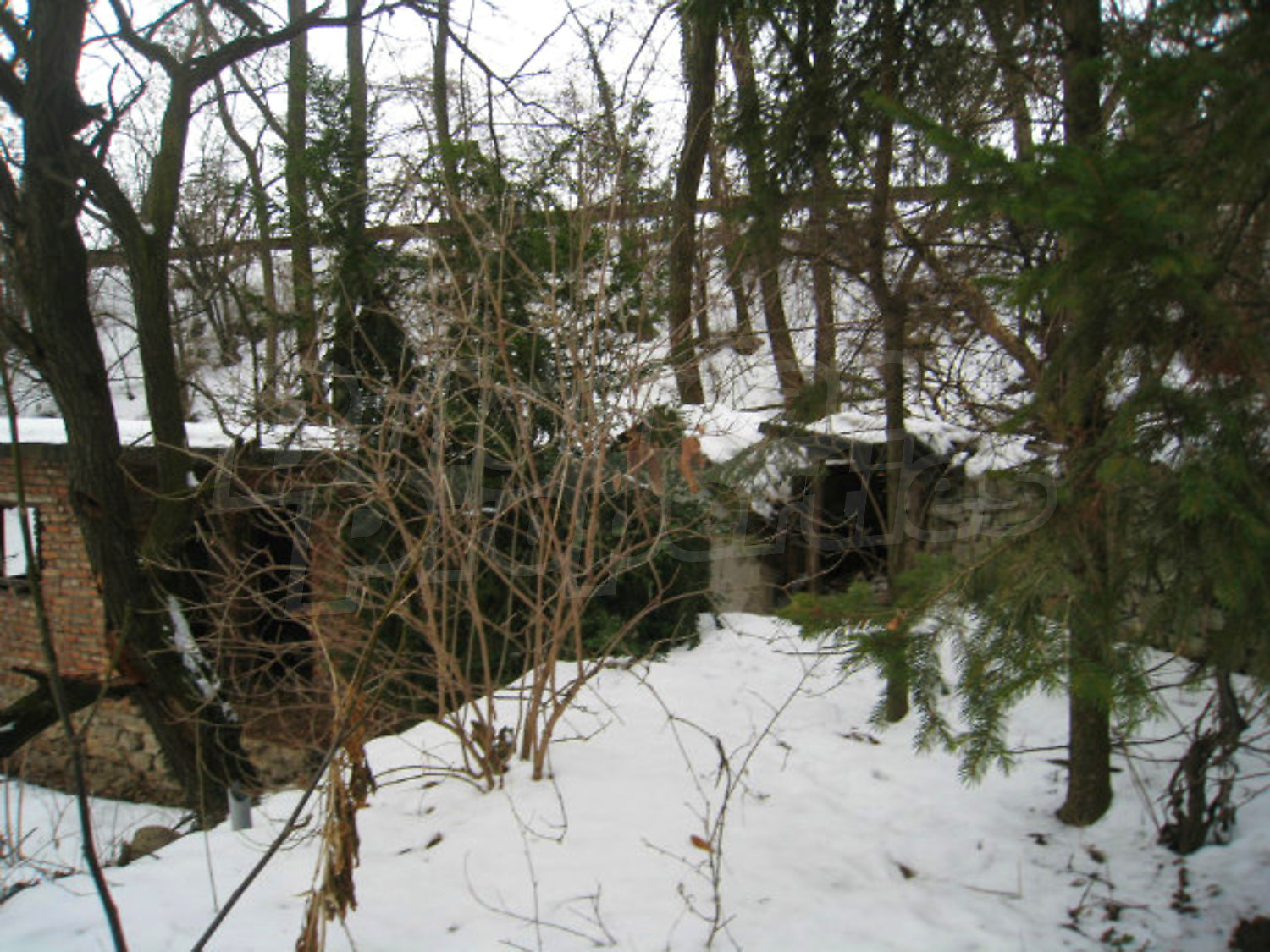 Gallery Picture 40