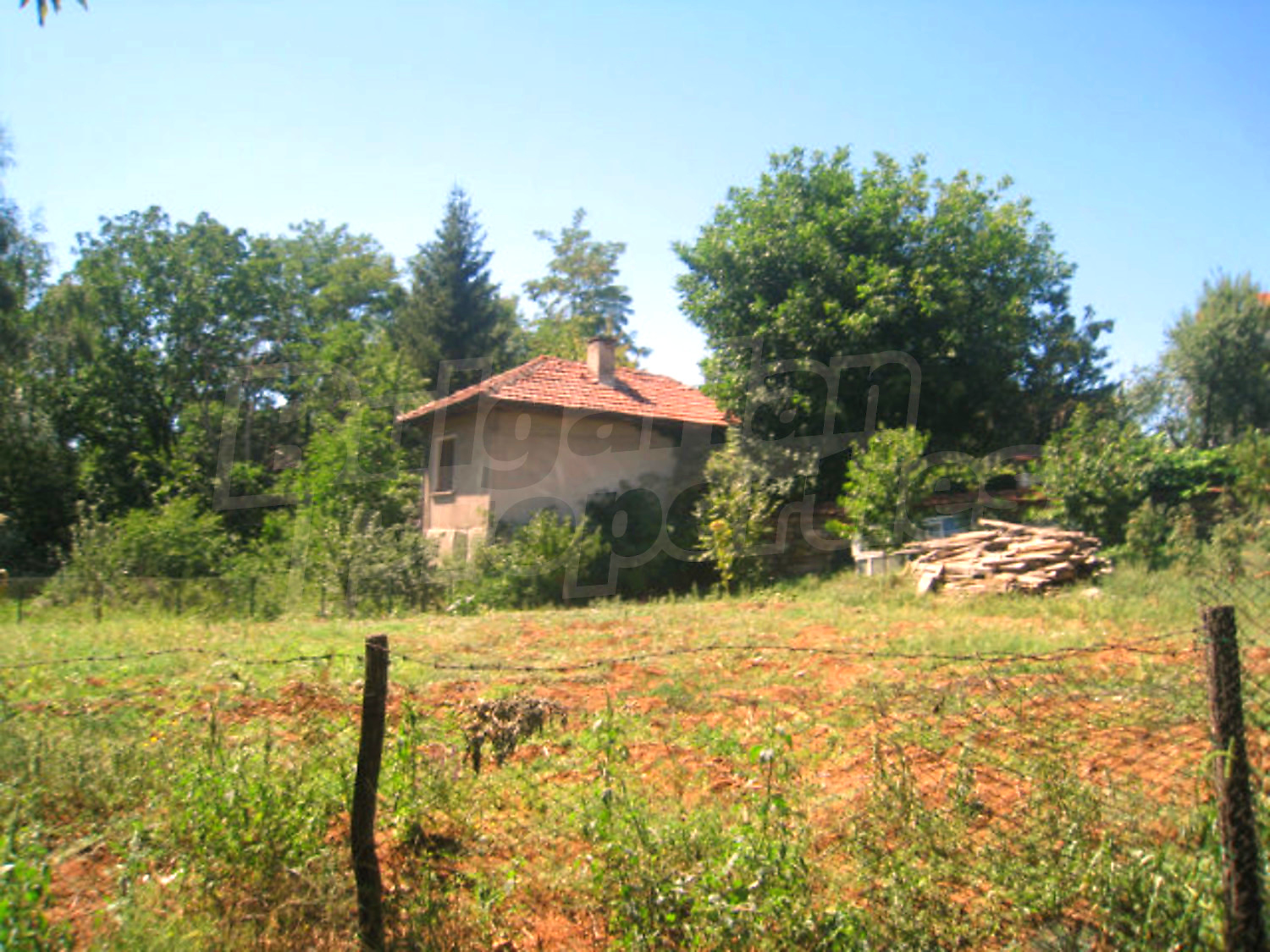Gallery Picture 45