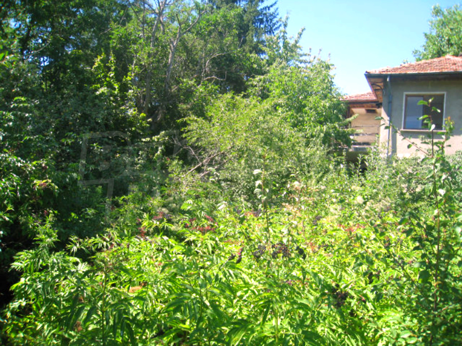 Gallery Picture 46