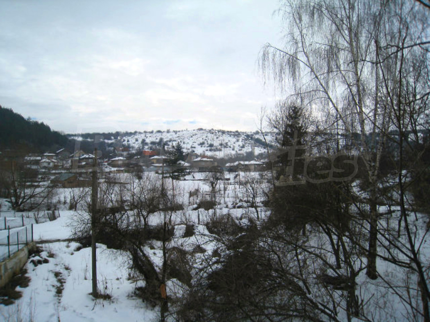 Gallery Picture 51