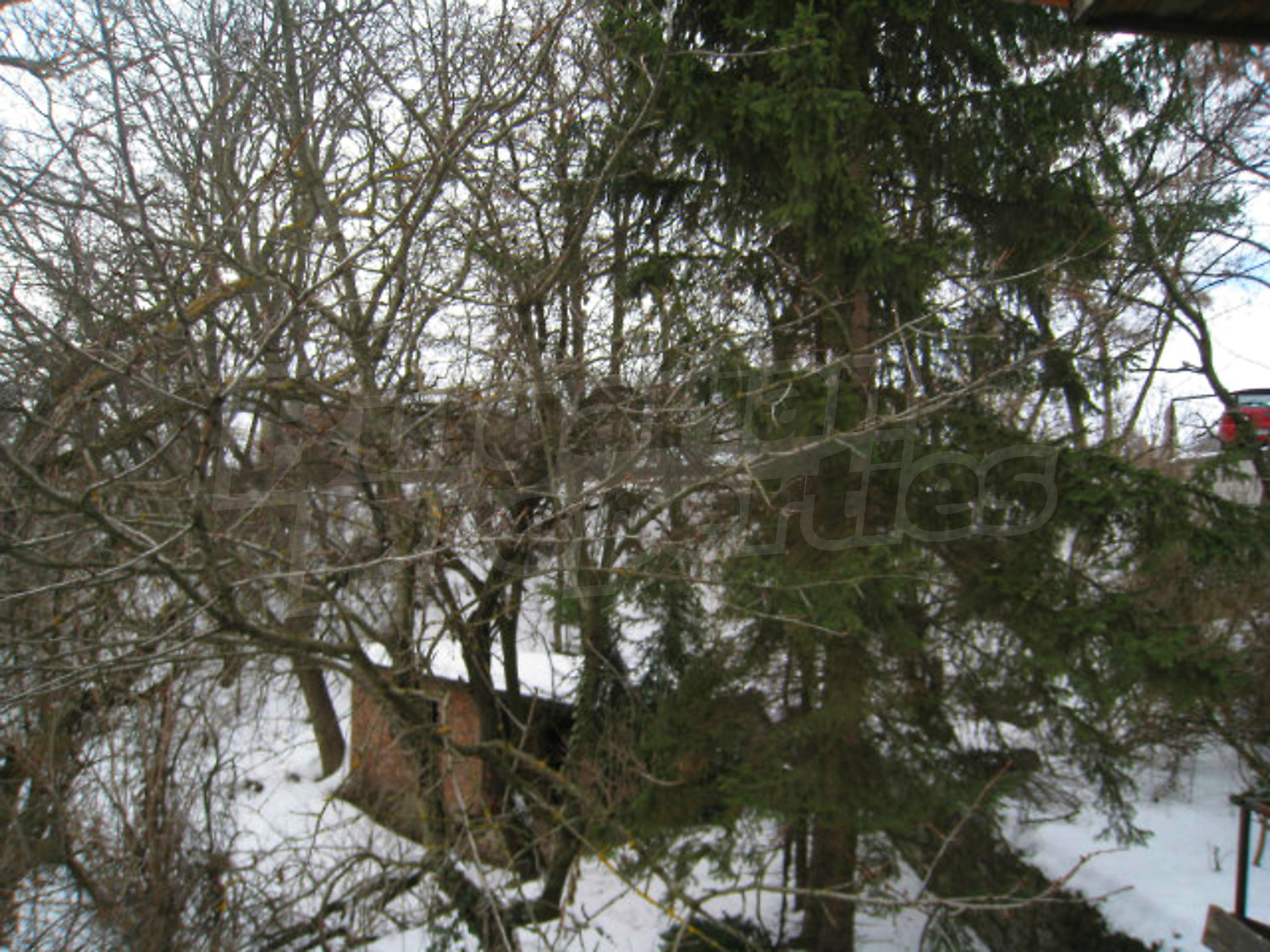 Gallery Picture 53