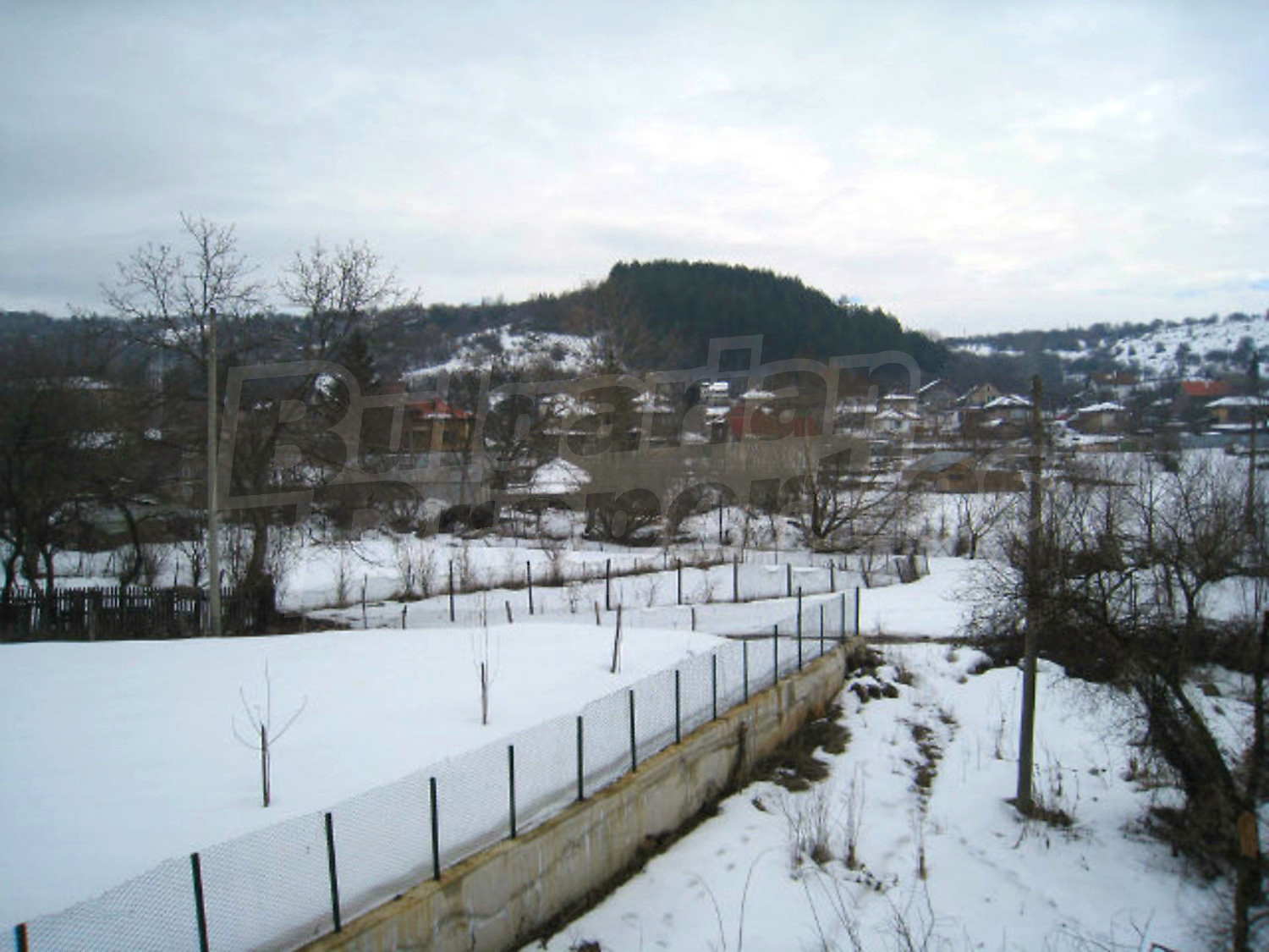 Gallery Picture 55