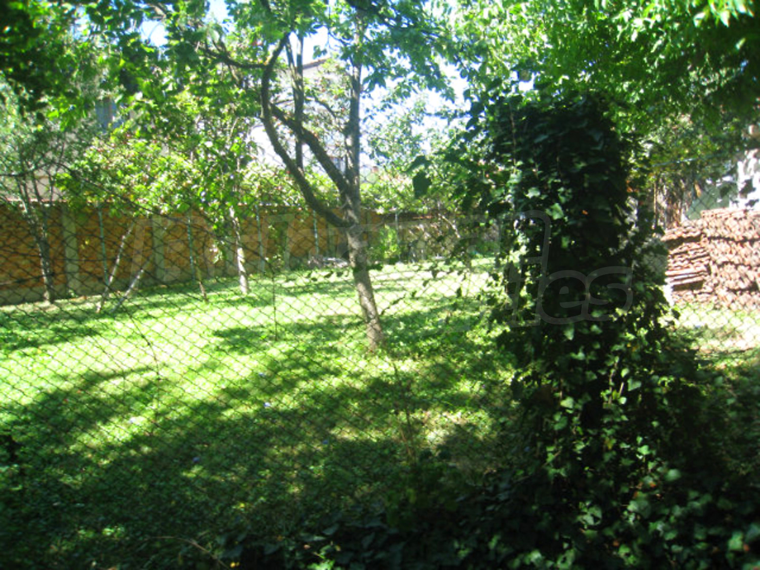 Gallery Picture 62