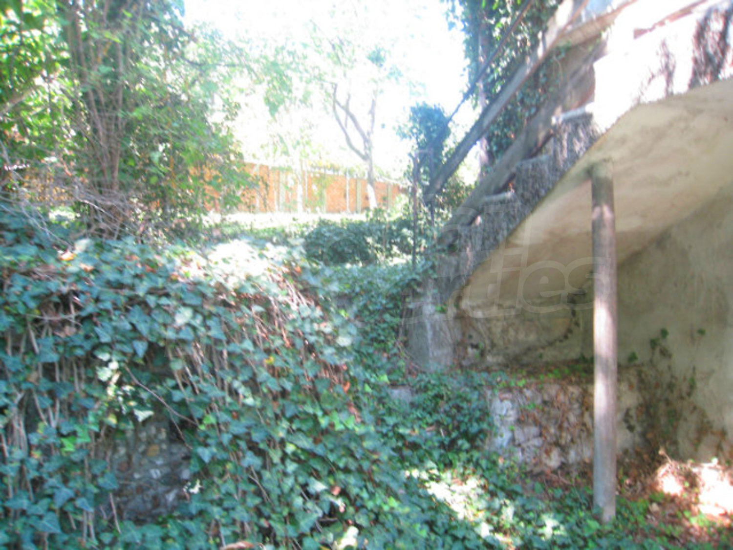 Gallery Picture 8