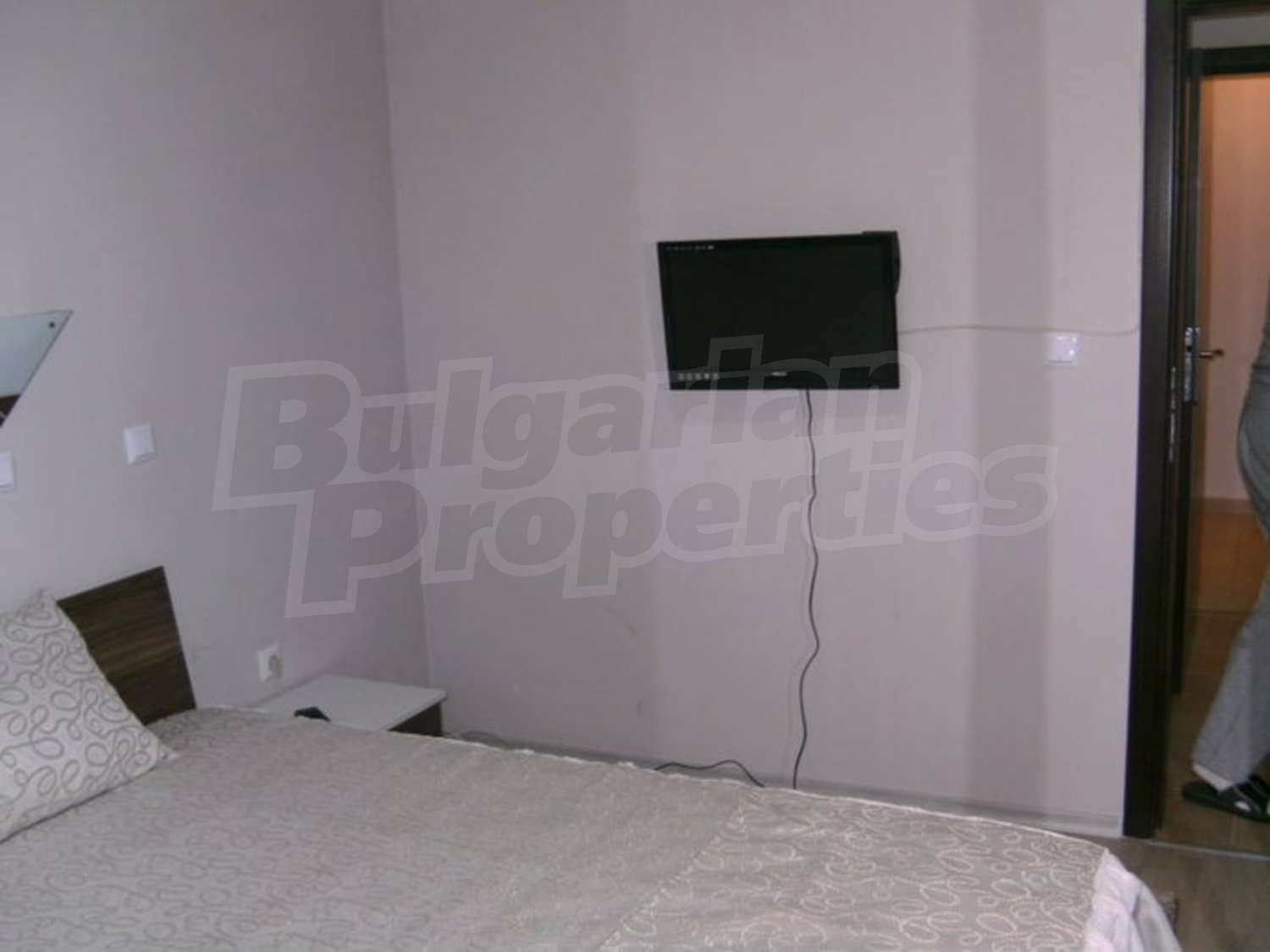 Gallery Picture 14