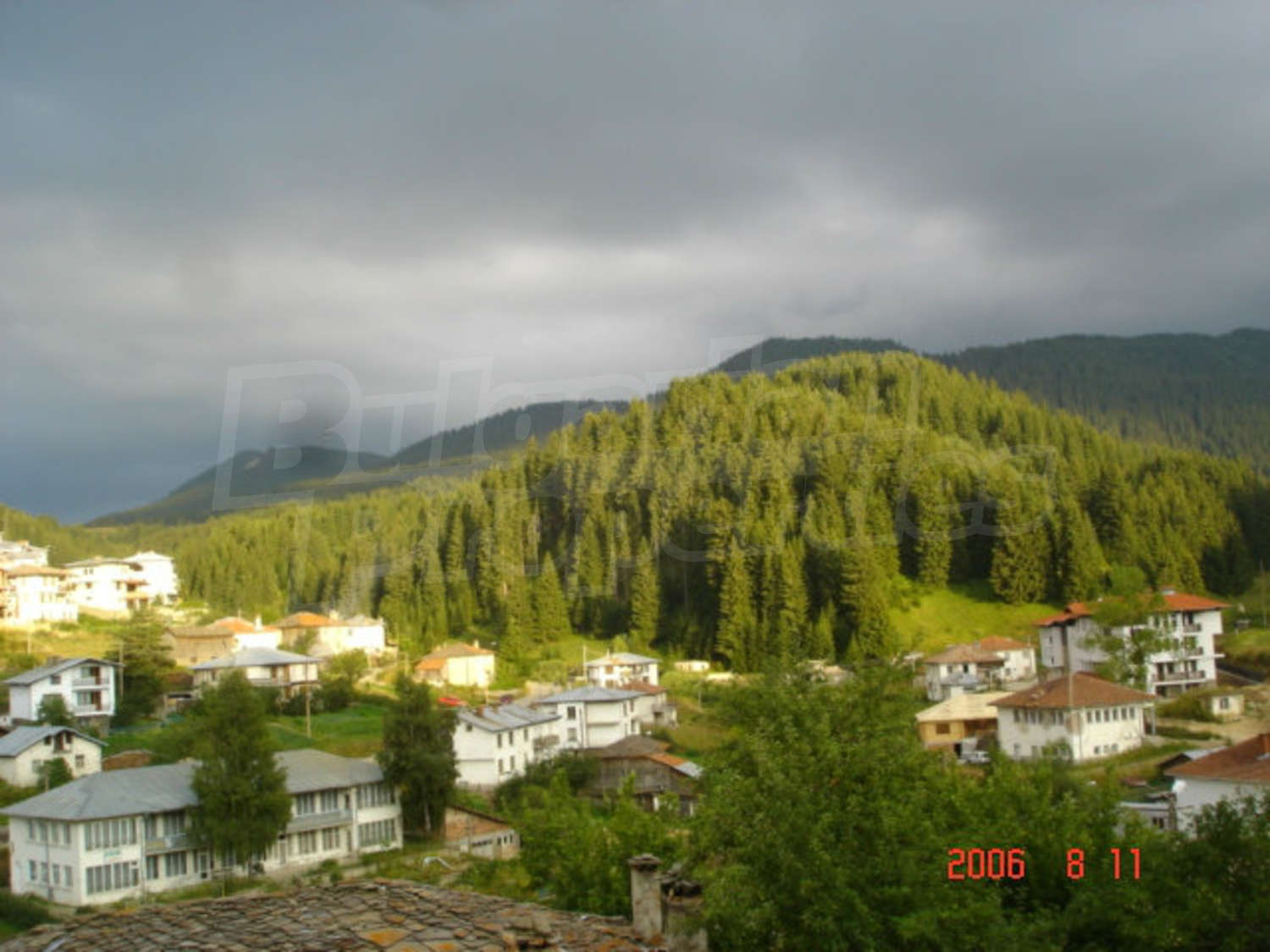Gallery Picture 20