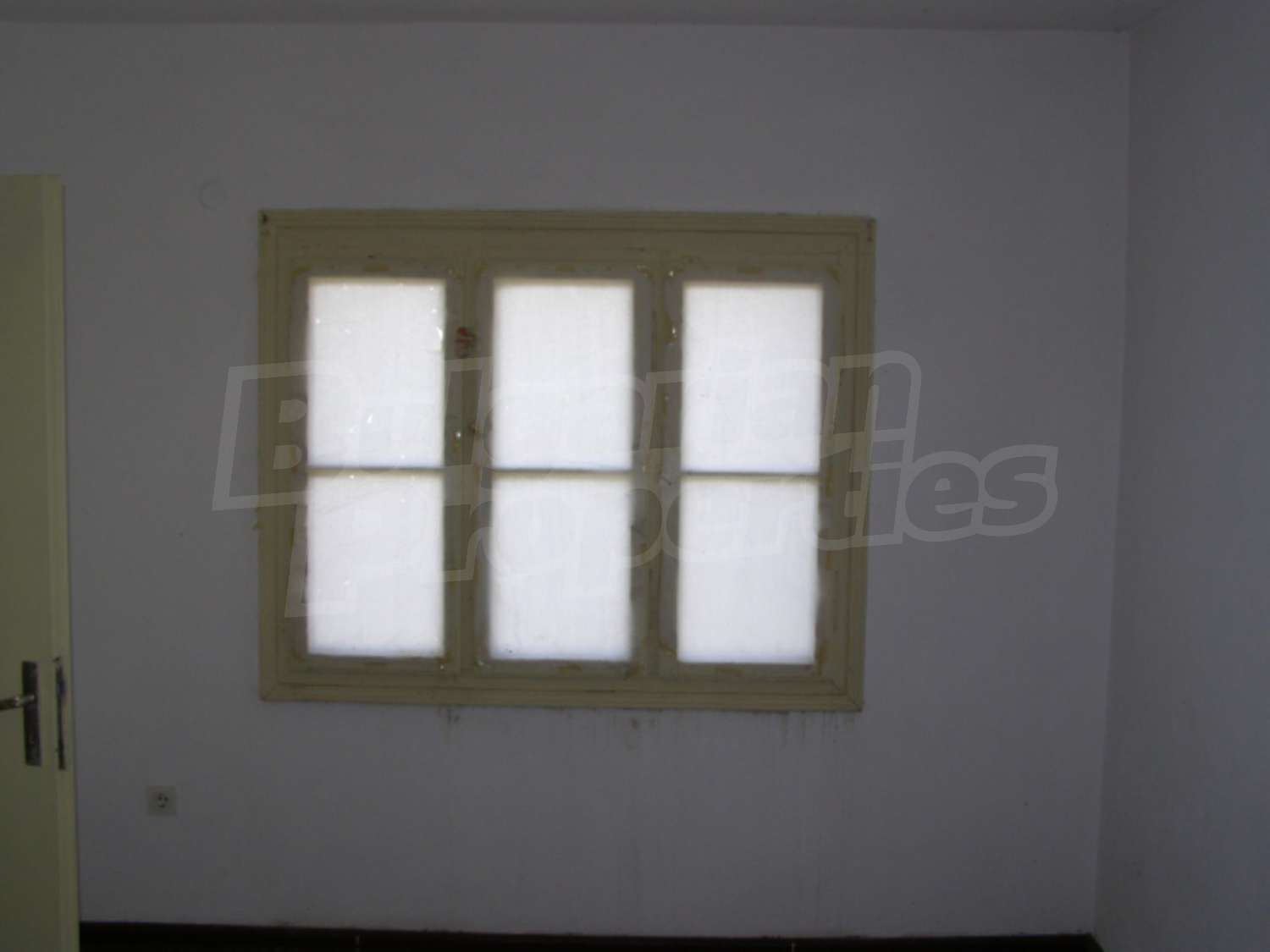 Gallery Picture 11