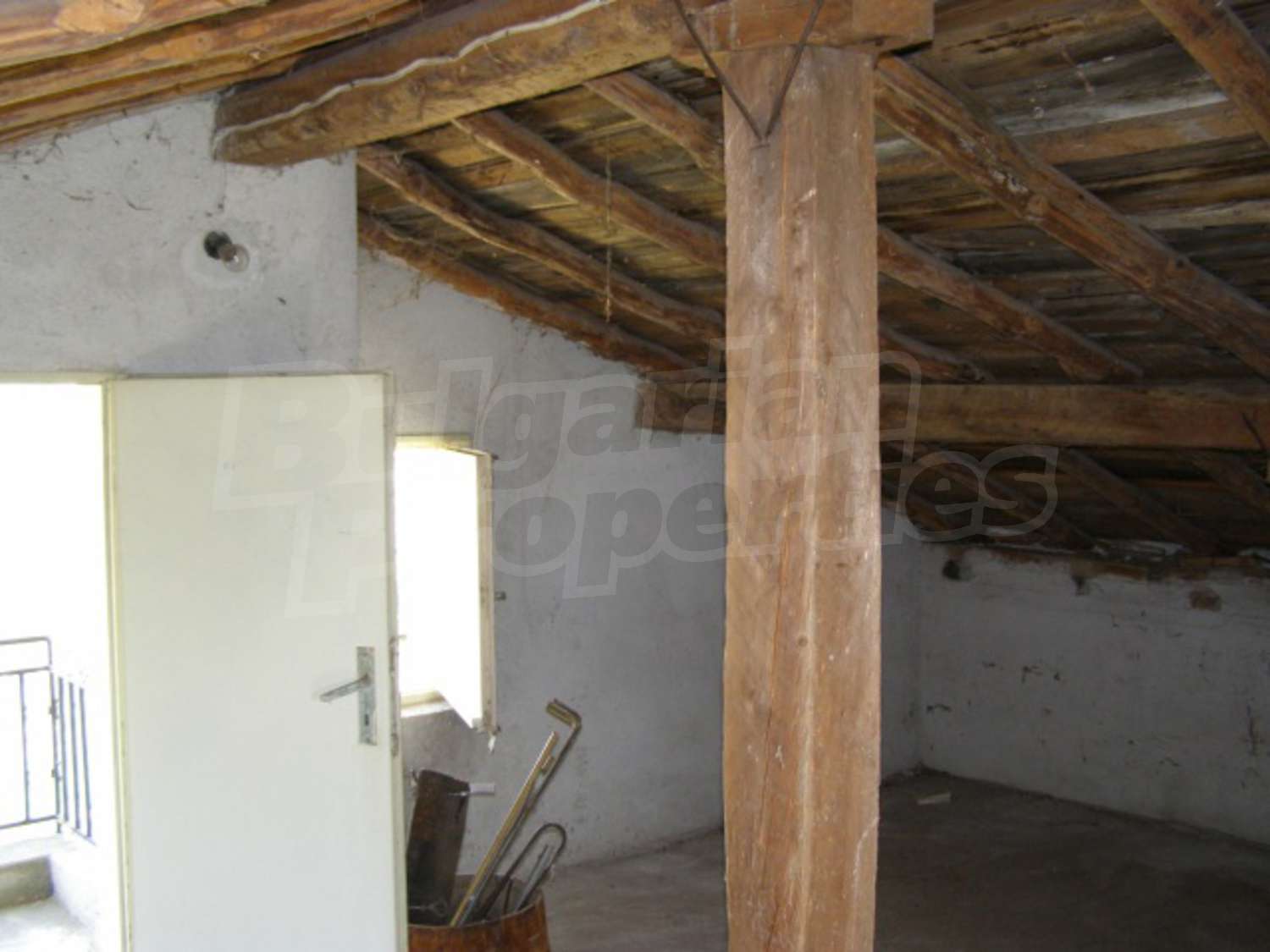 Gallery Picture 14