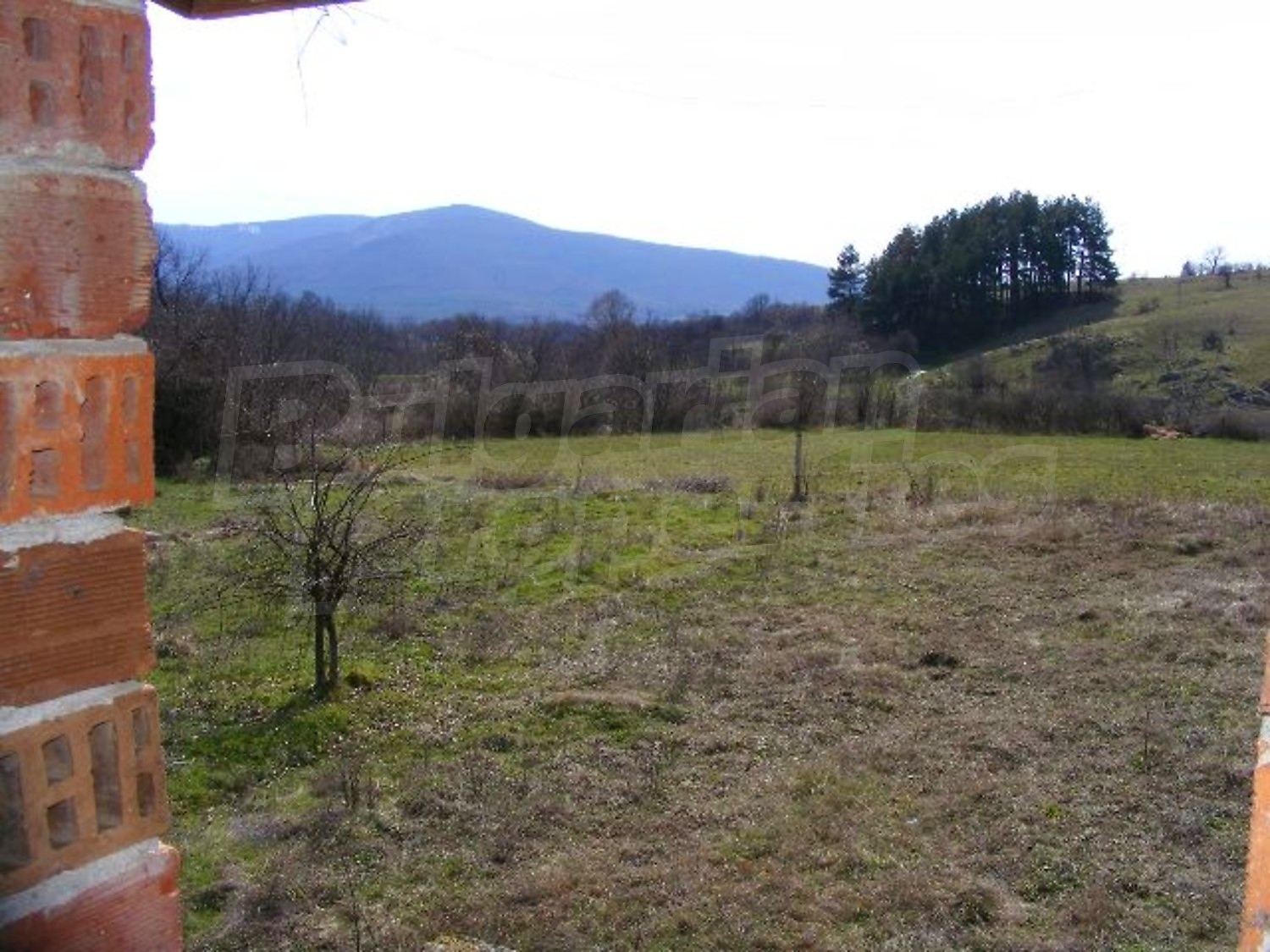 Gallery Picture 22