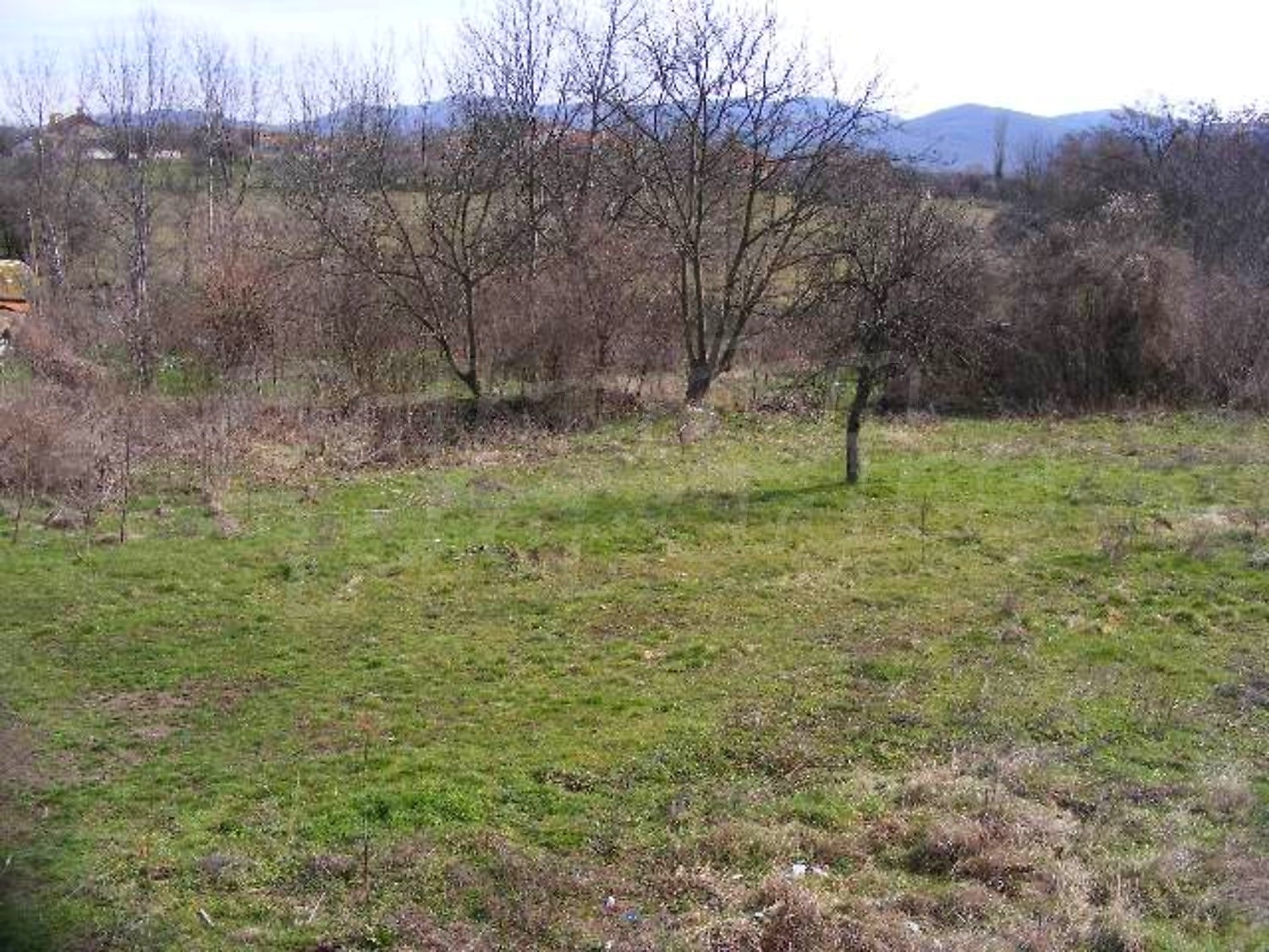 Gallery Picture 24