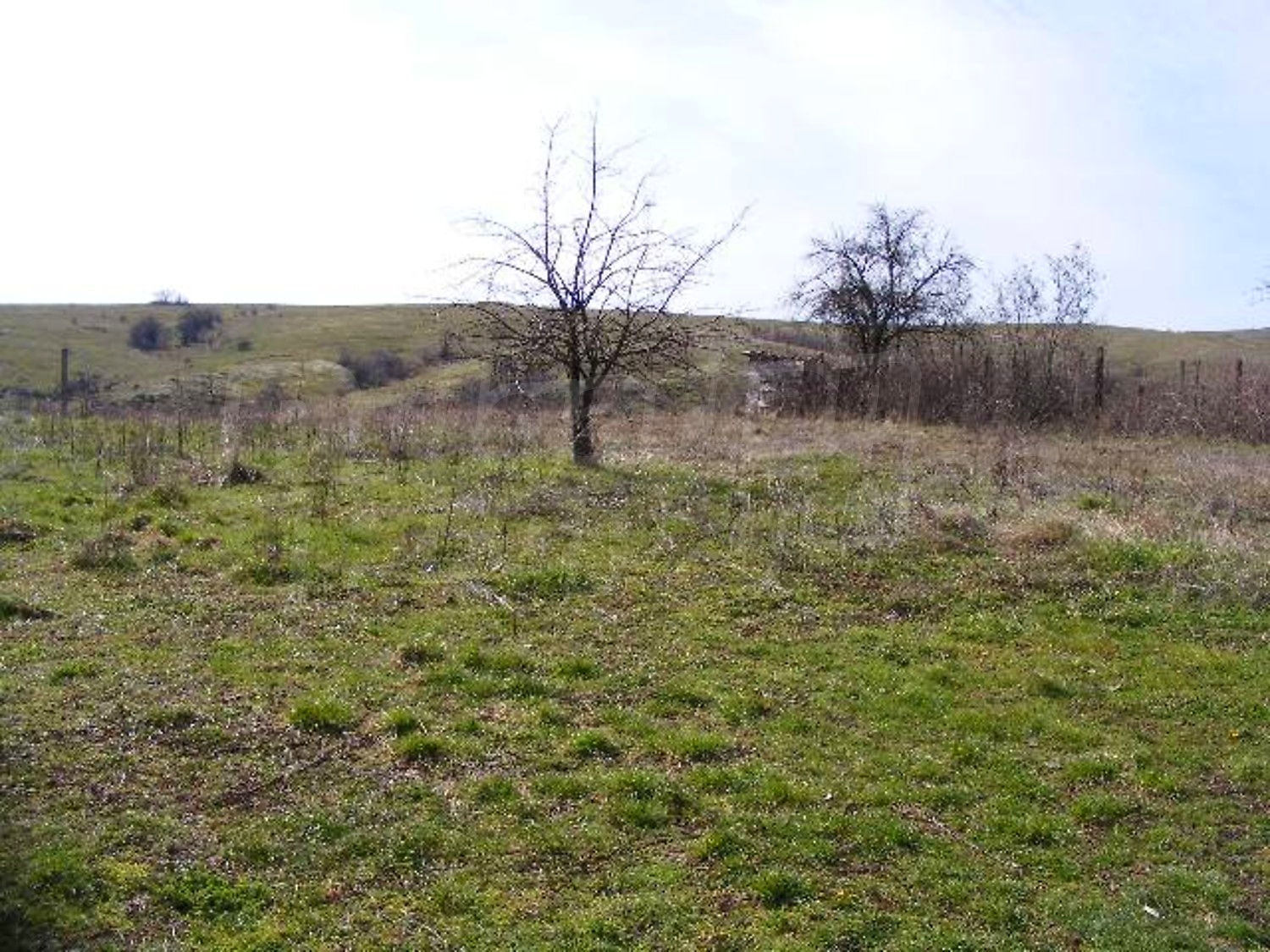 Gallery Picture 25