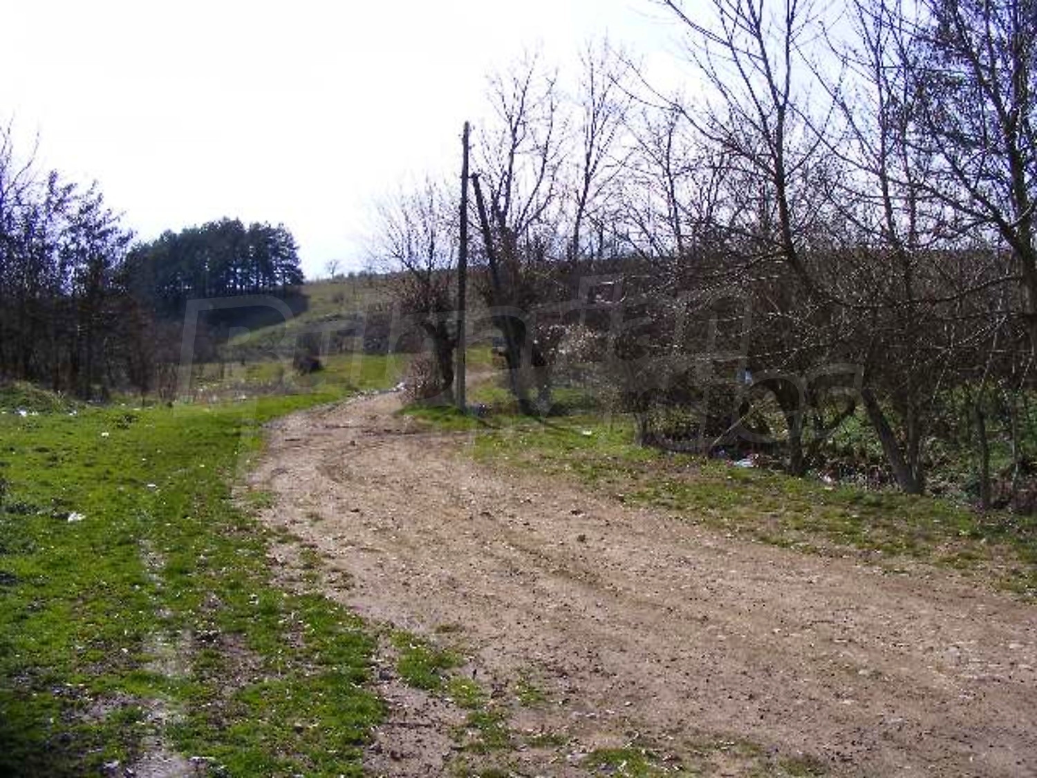 Gallery Picture 29