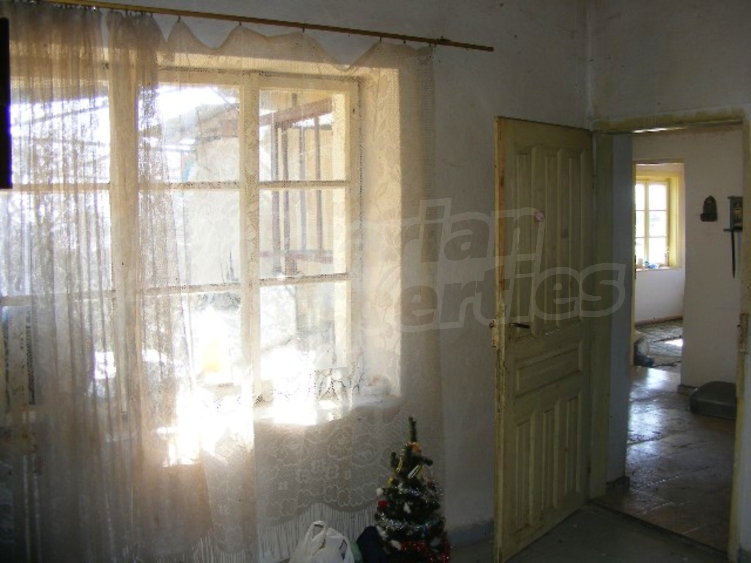 Gallery Picture 17