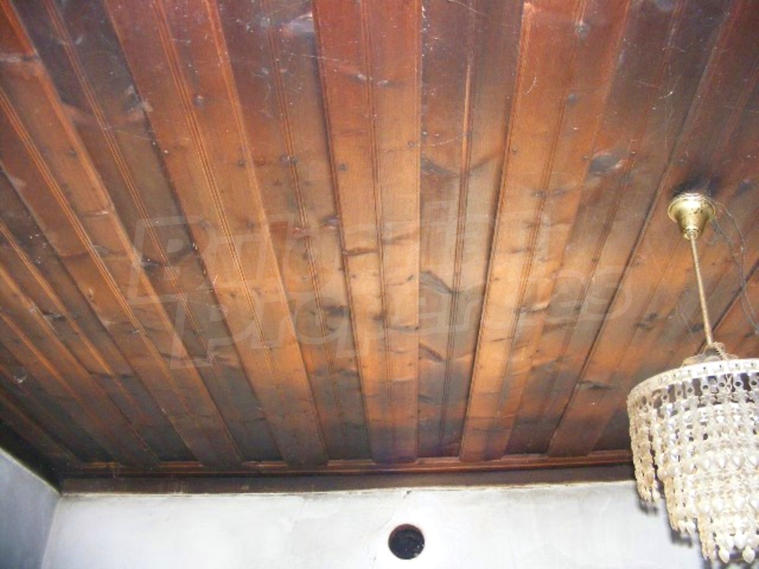 Gallery Picture 22
