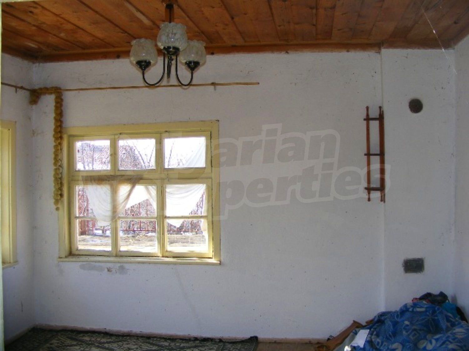 Gallery Picture 23