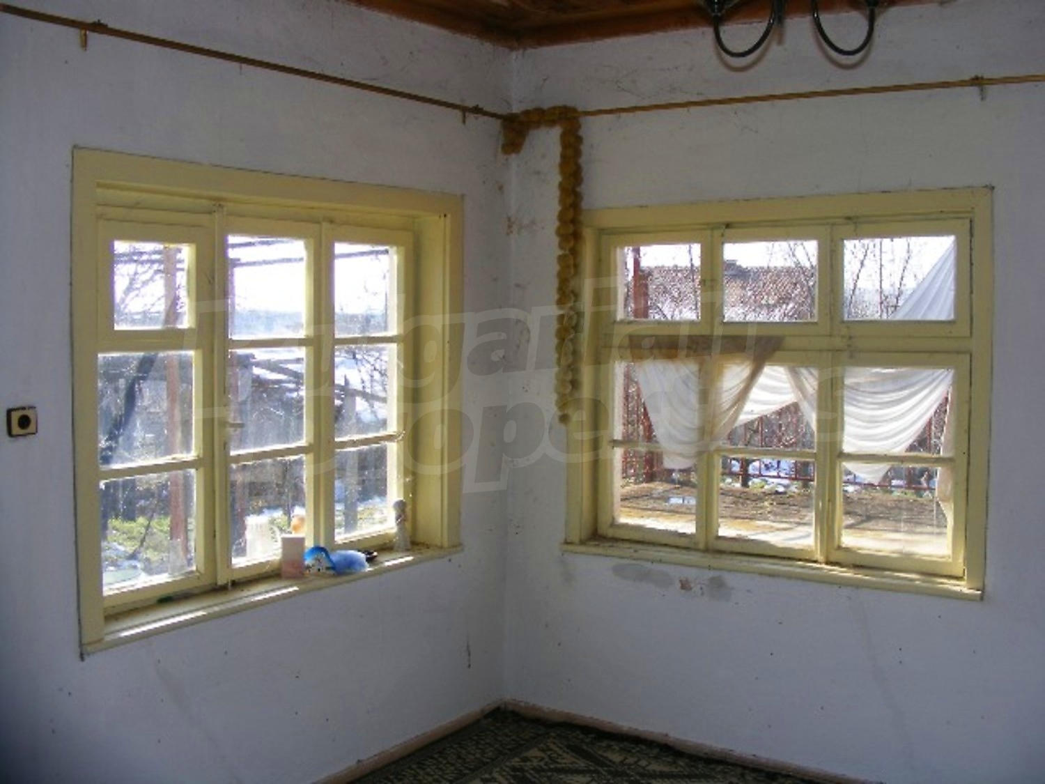 Gallery Picture 24