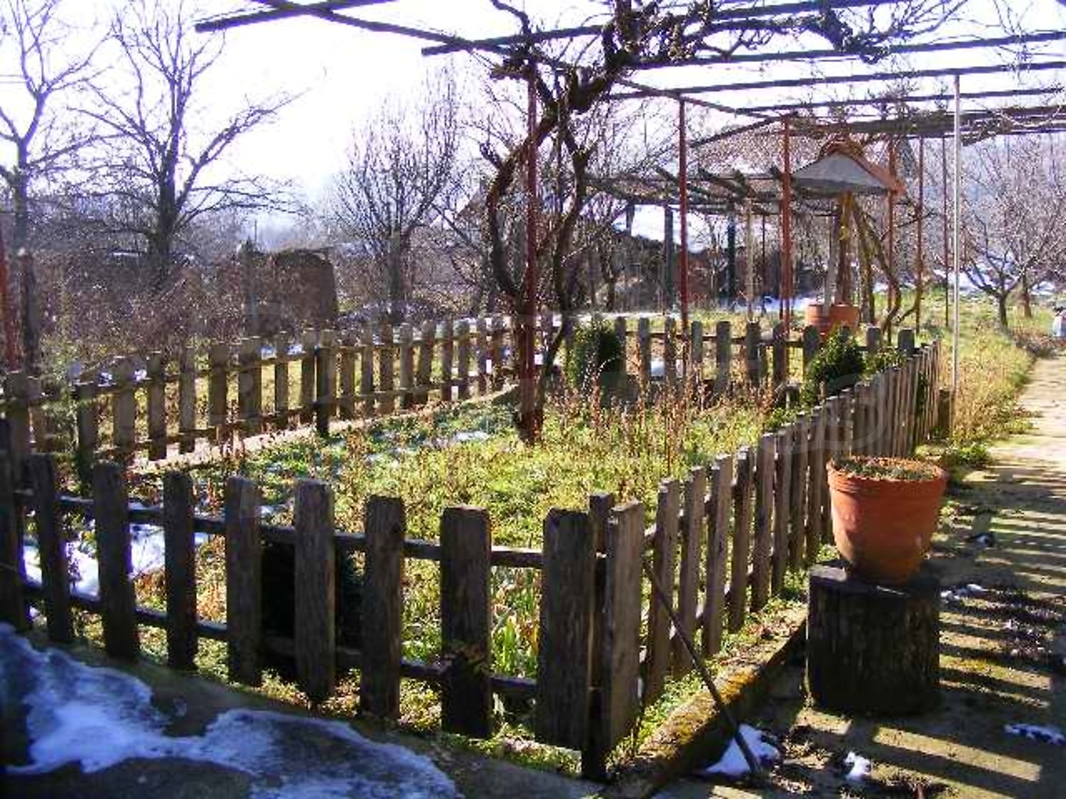 Gallery Picture 31