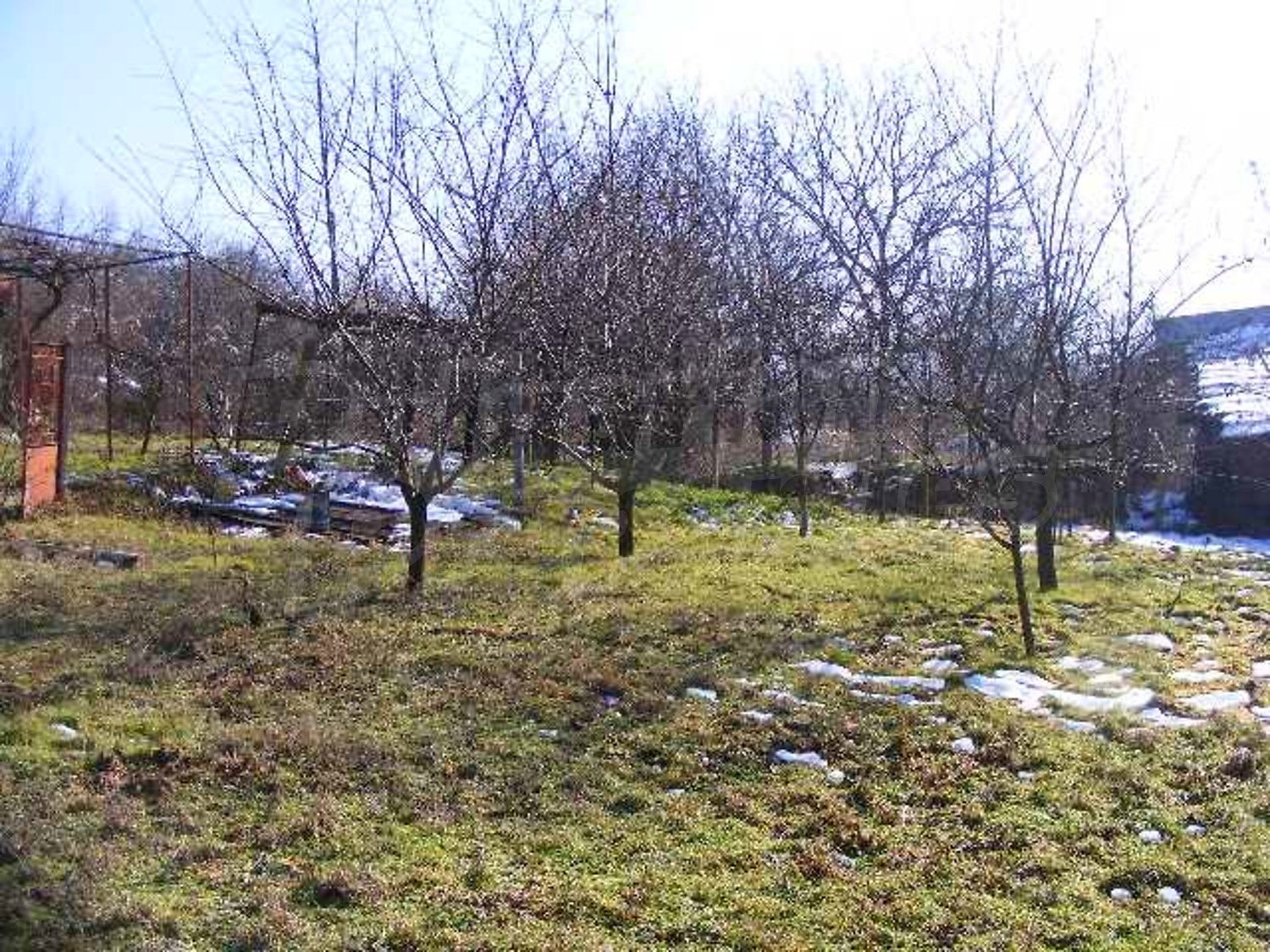 Gallery Picture 33