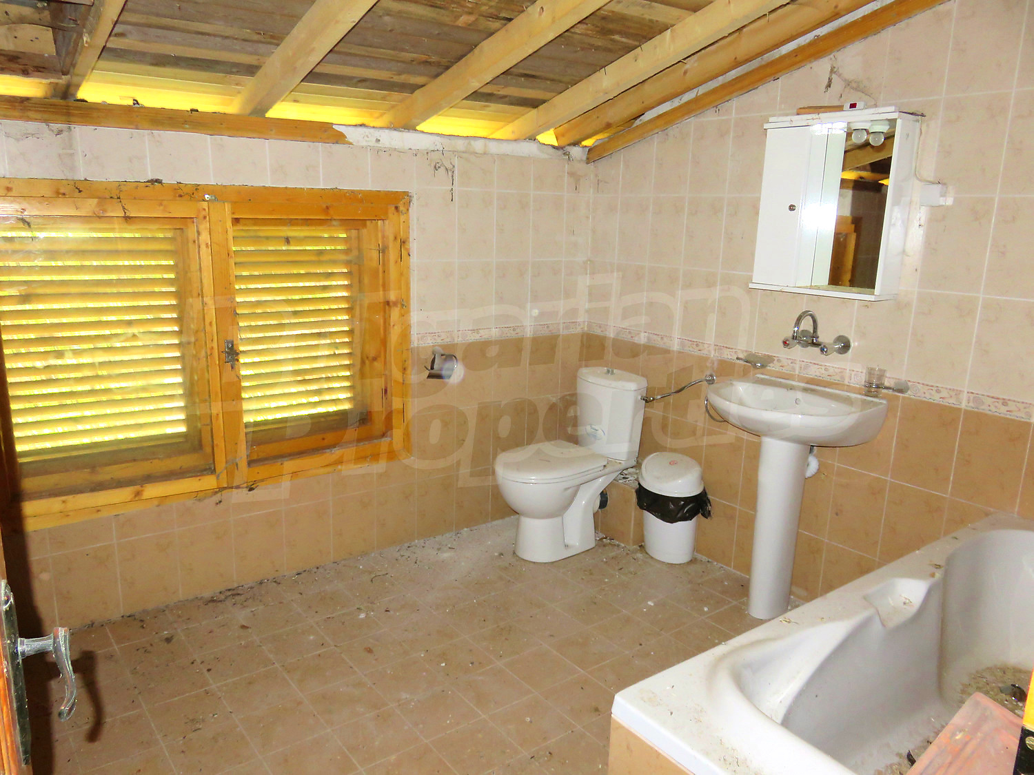Gallery Picture 16
