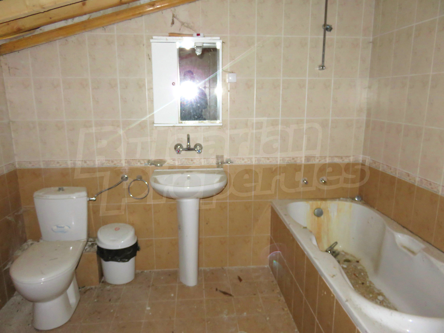Gallery Picture 17