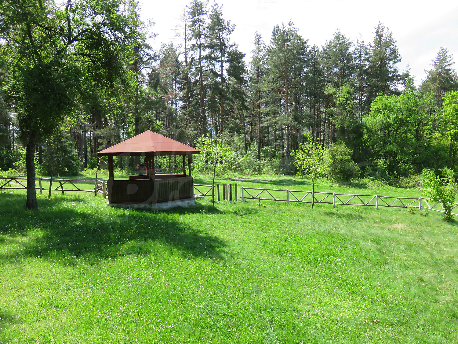 Gallery Picture 25