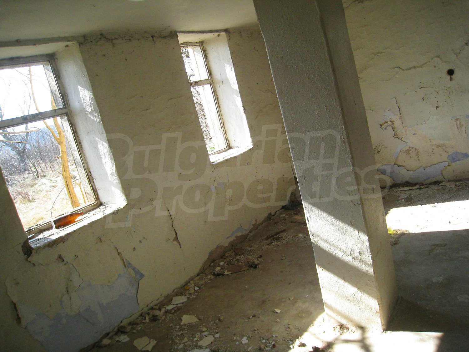 Gallery Picture 10