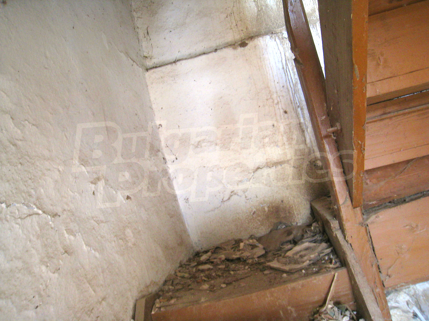 Gallery Picture 11