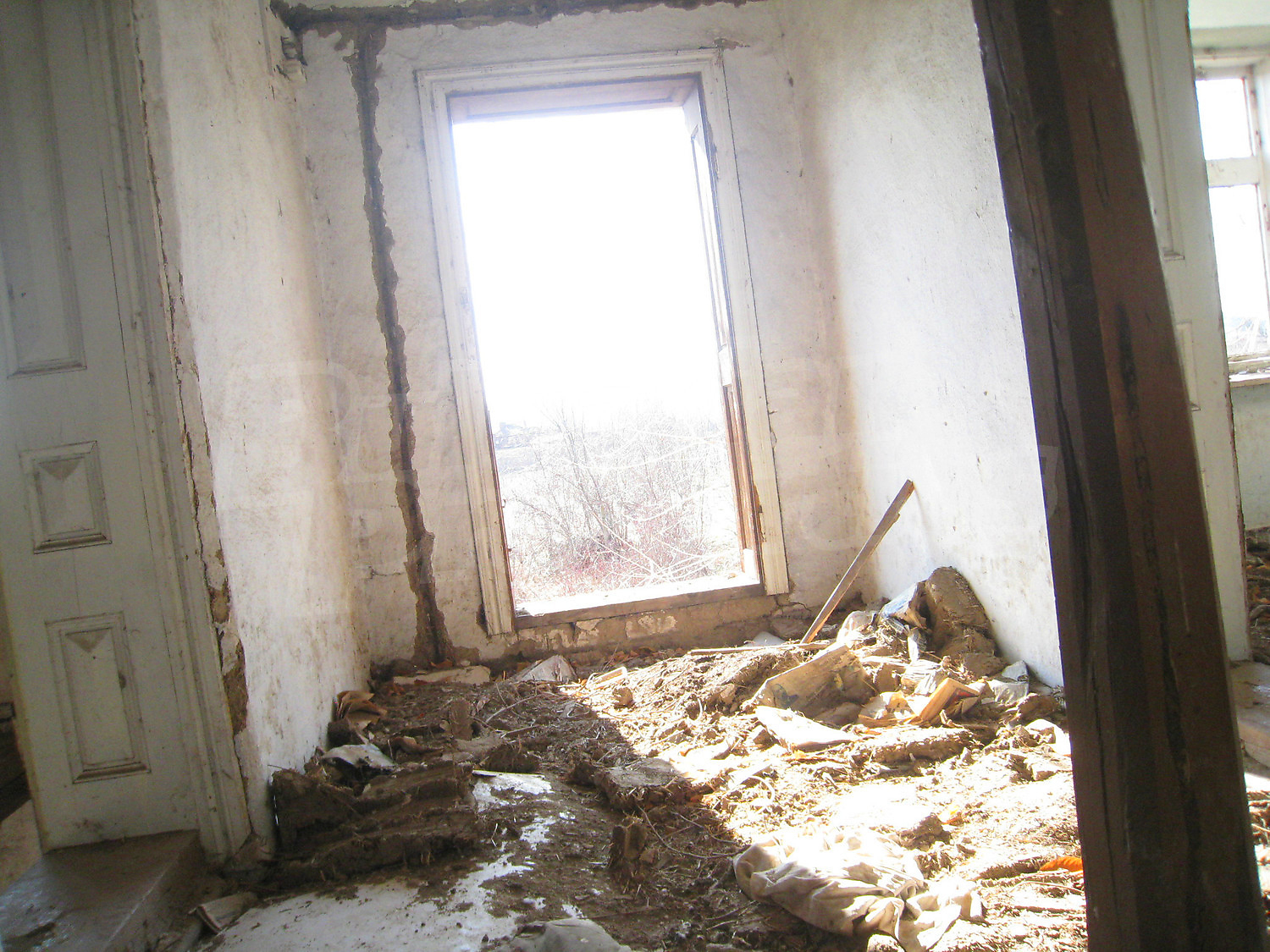 Gallery Picture 12