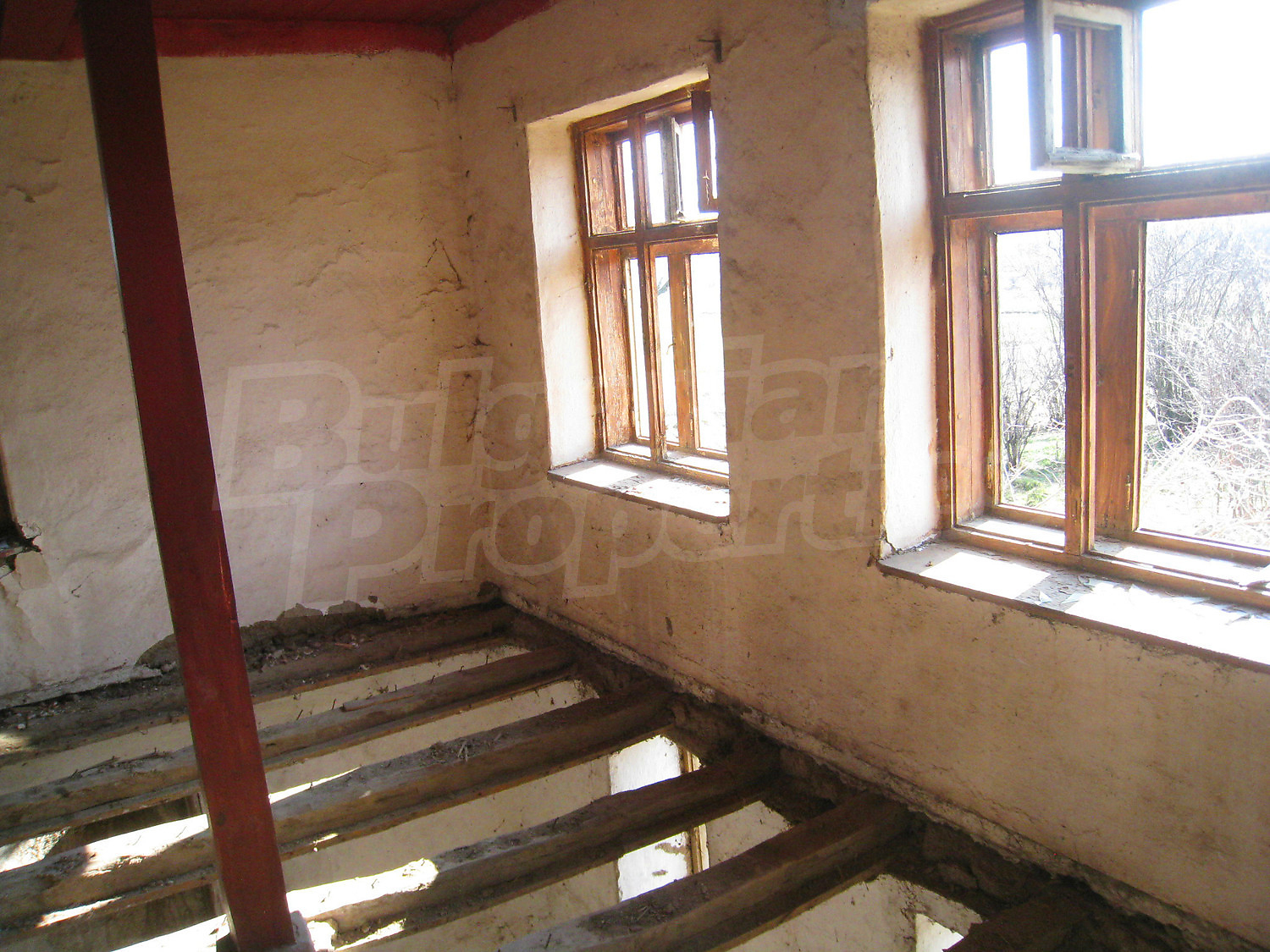 Gallery Picture 13