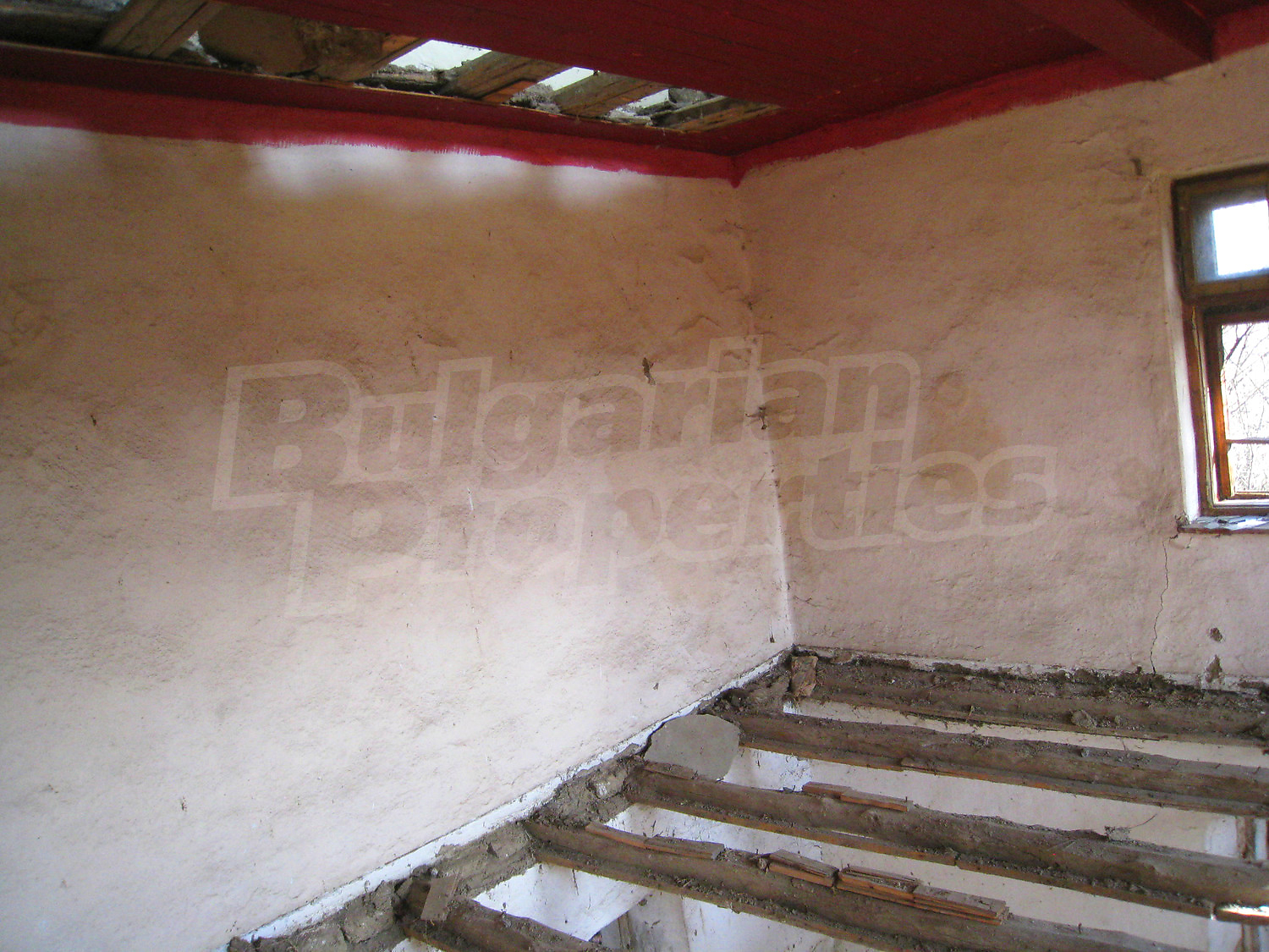 Gallery Picture 14
