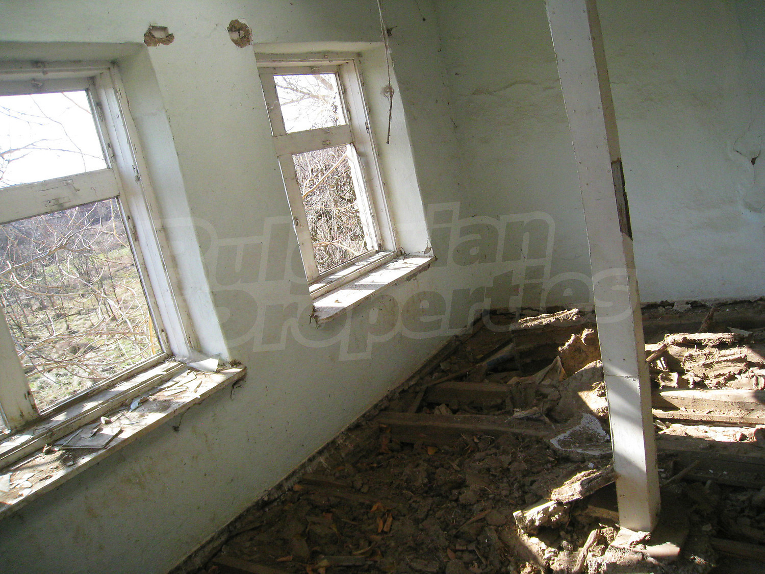 Gallery Picture 16