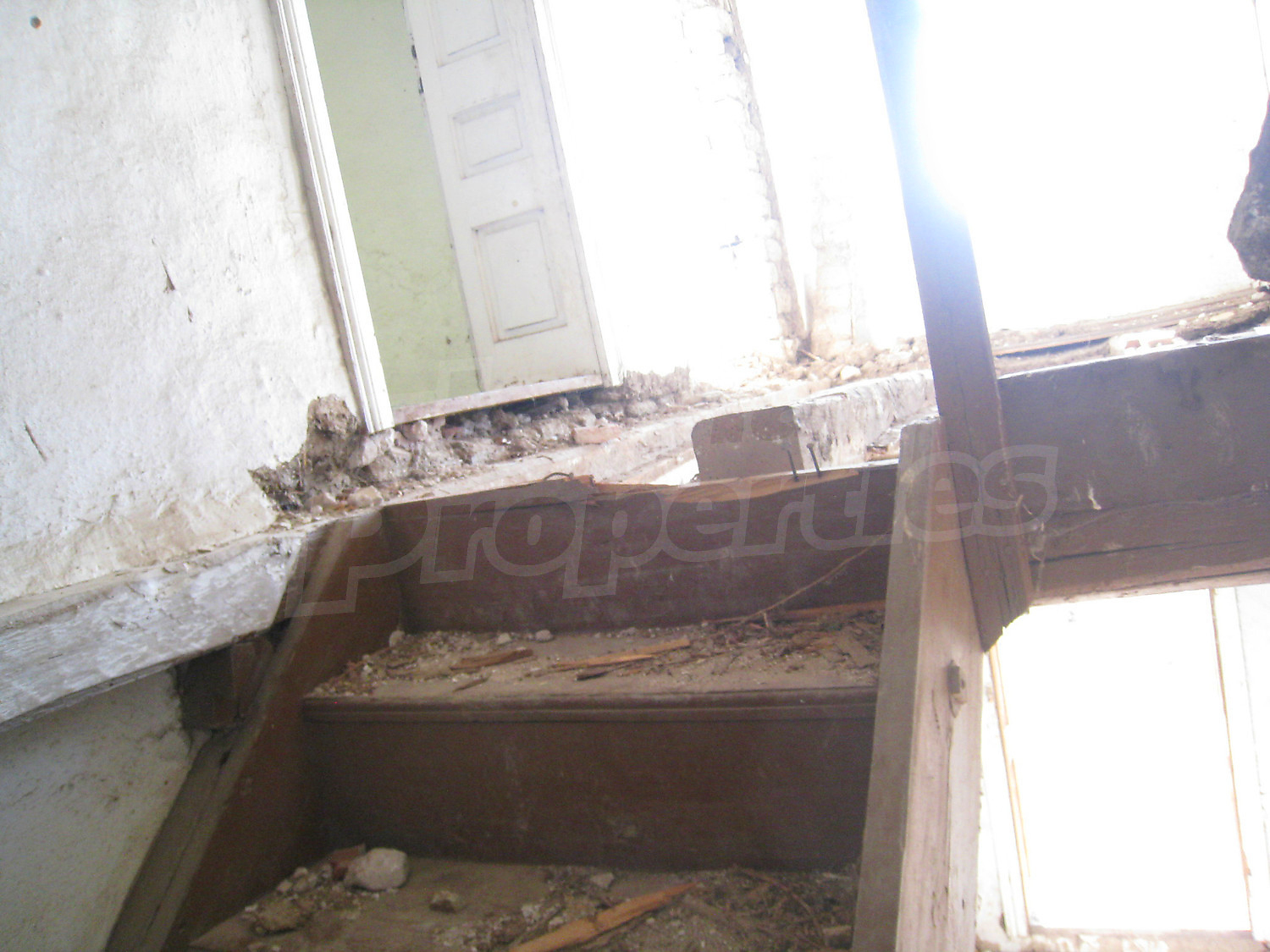 Gallery Picture 17