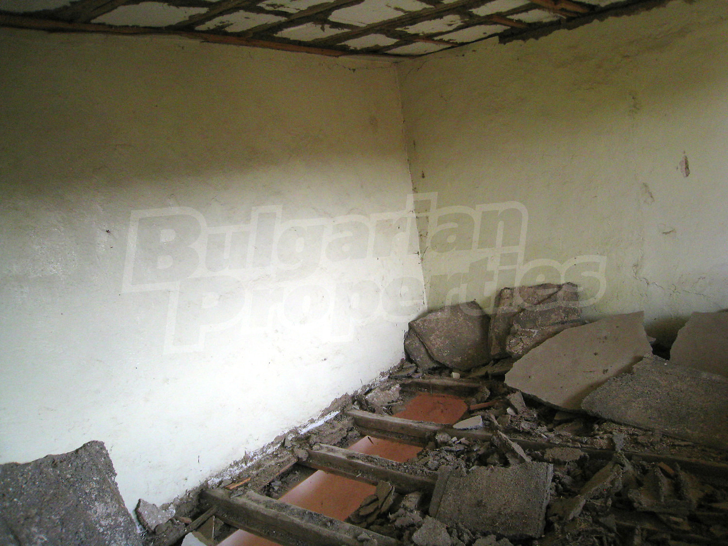 Gallery Picture 19