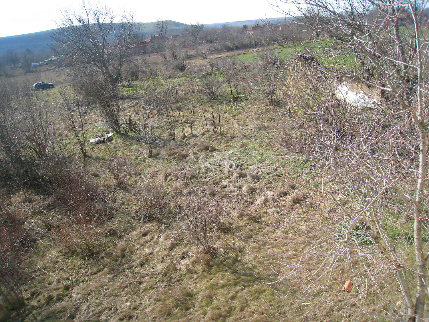 Gallery Picture 25