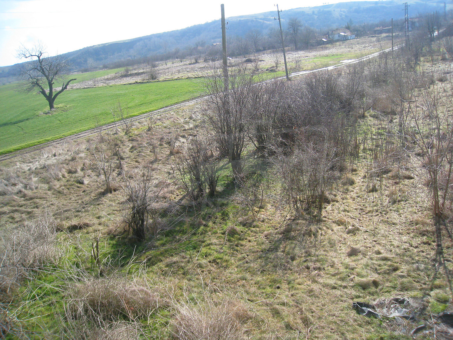 Gallery Picture 26