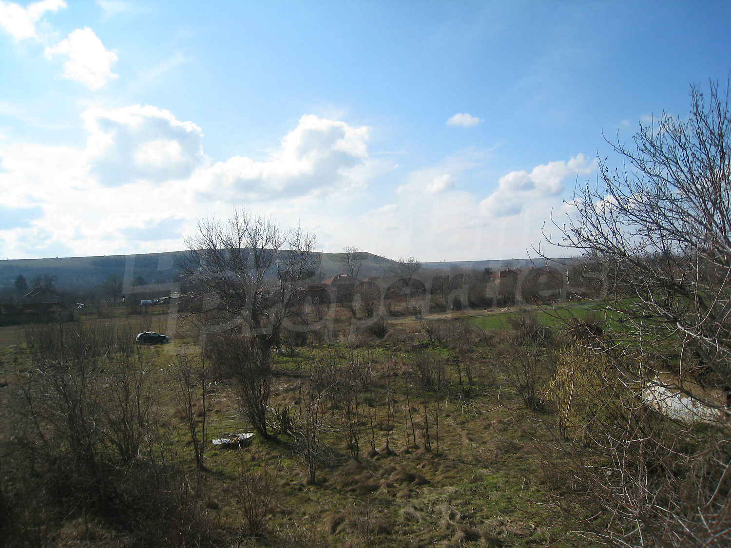 Gallery Picture 28