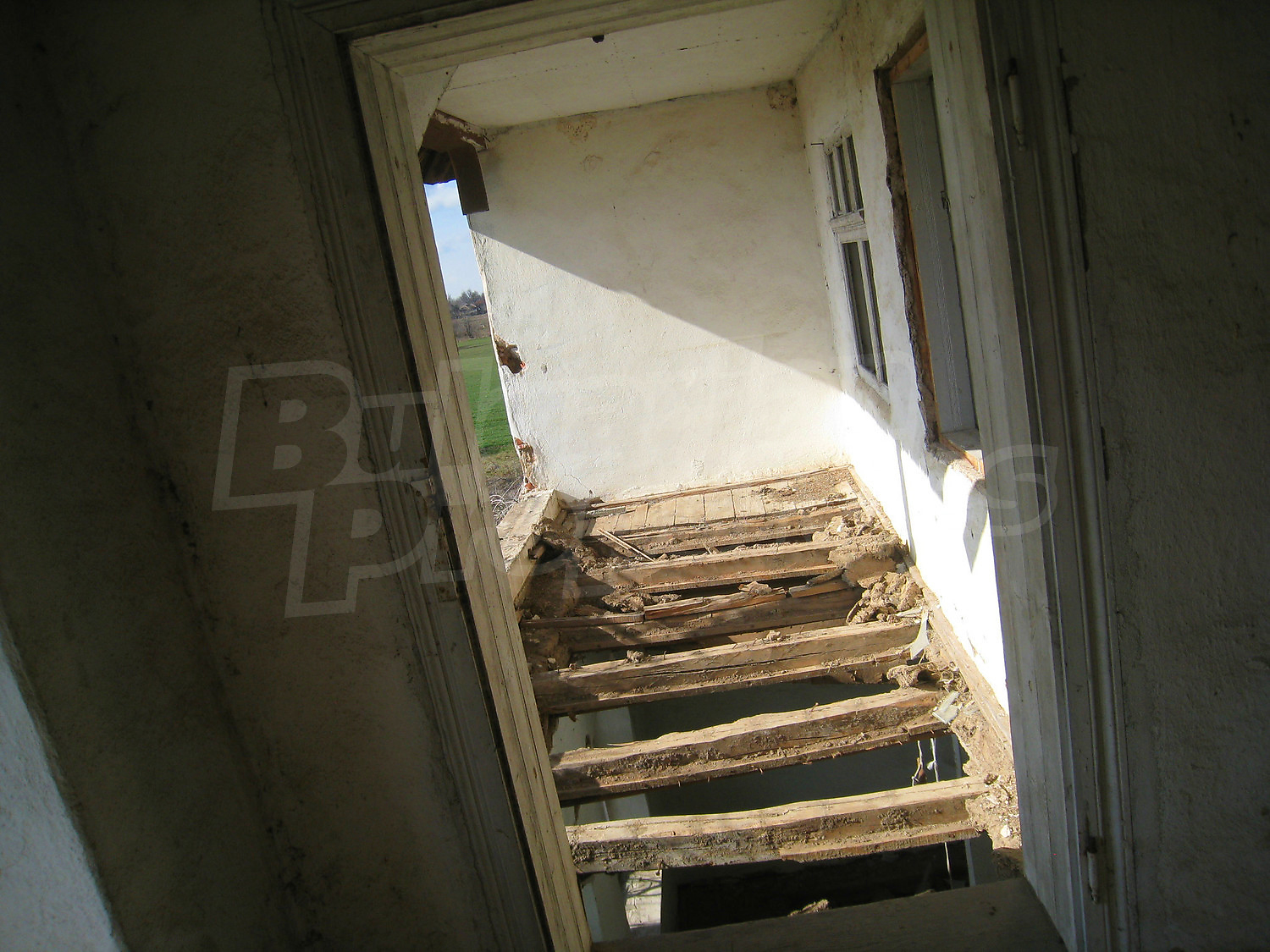 Gallery Picture 29